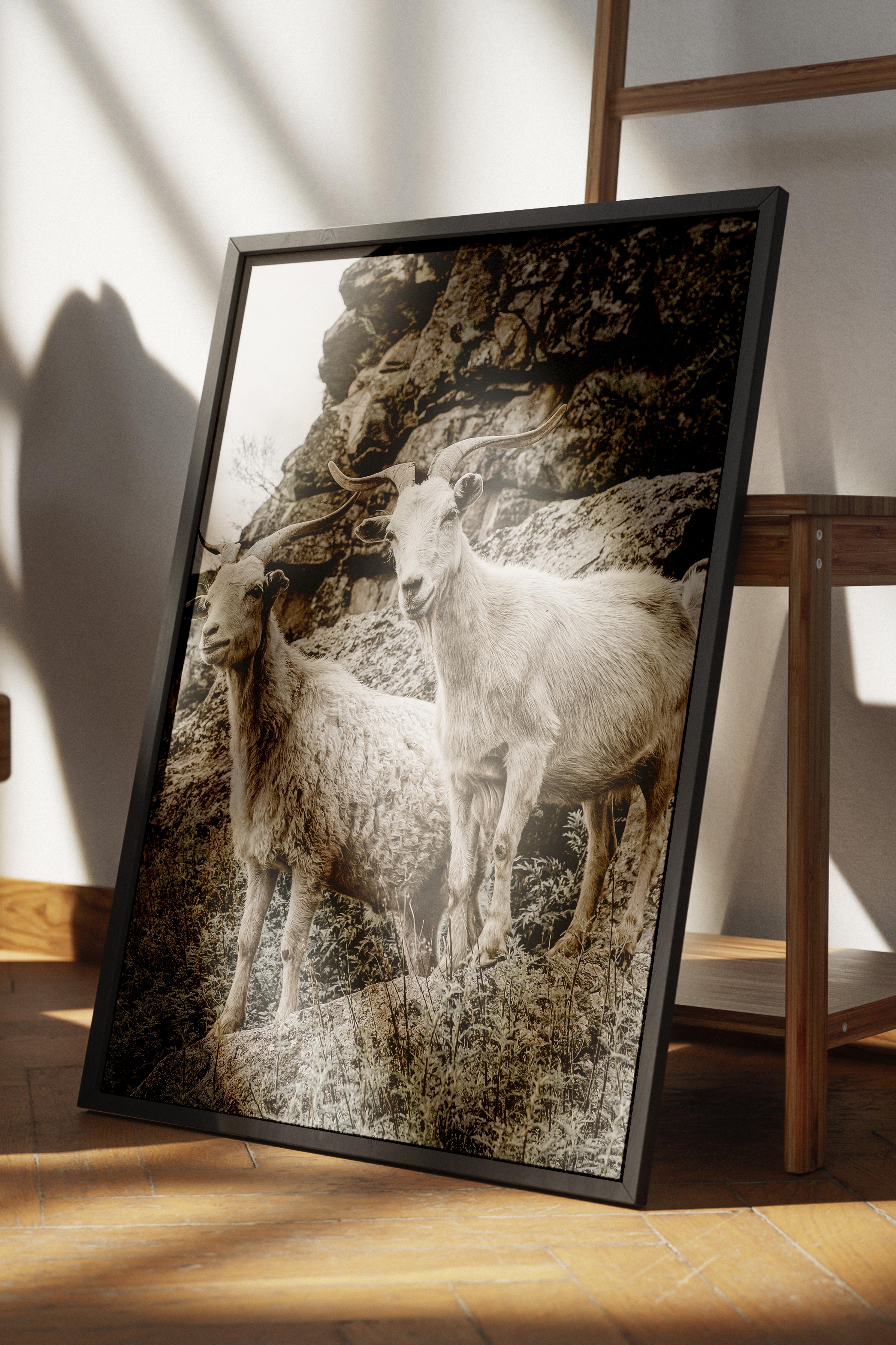 Rustic Çerçevesiz Poster, İskandinav Kahverengi Poster, NO:363 Geyik Fotoğraf, Dikey