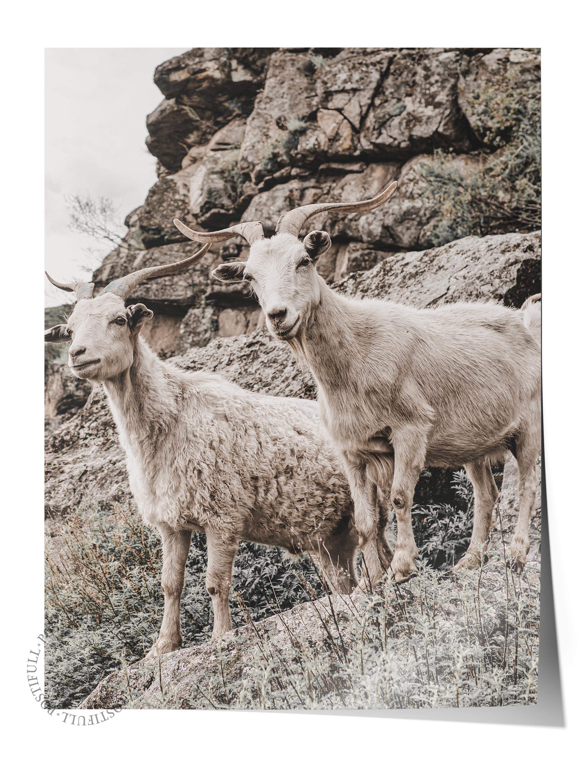 Rustic Çerçevesiz Poster, İskandinav Kahverengi Poster, NO:363 Geyik Fotoğraf, Dikey