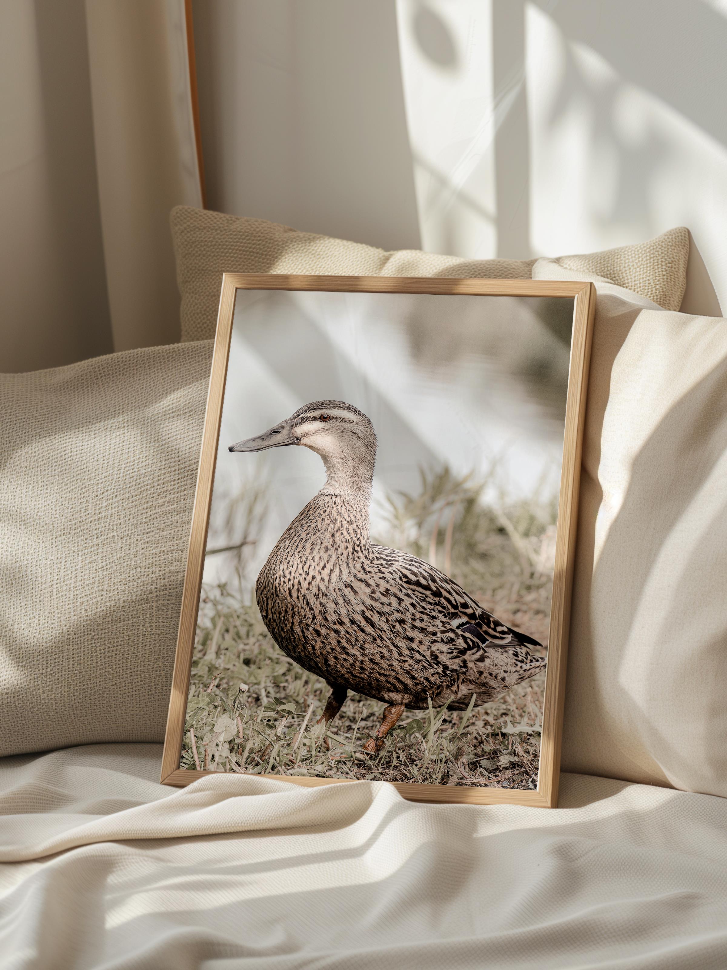 Rustic Çerçevesiz Poster, İskandinav Kahverengi Poster, NO:367 Ördek Fotoğraf, Dikey