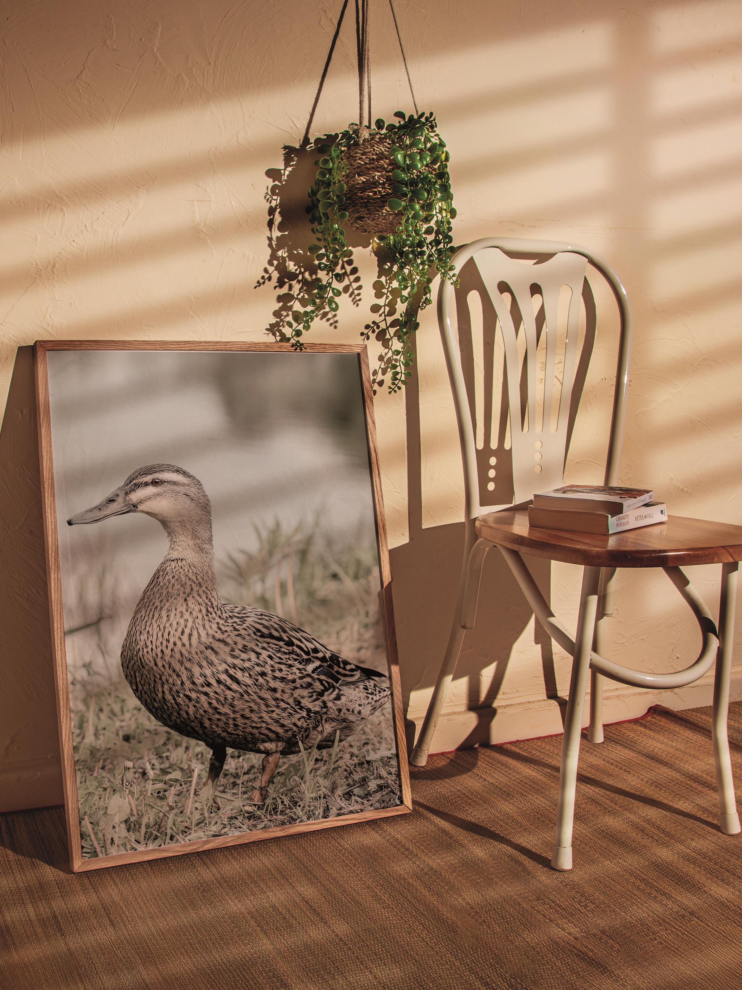 Rustic Çerçevesiz Poster, İskandinav Kahverengi Poster, NO:367 Ördek Fotoğraf, Dikey
