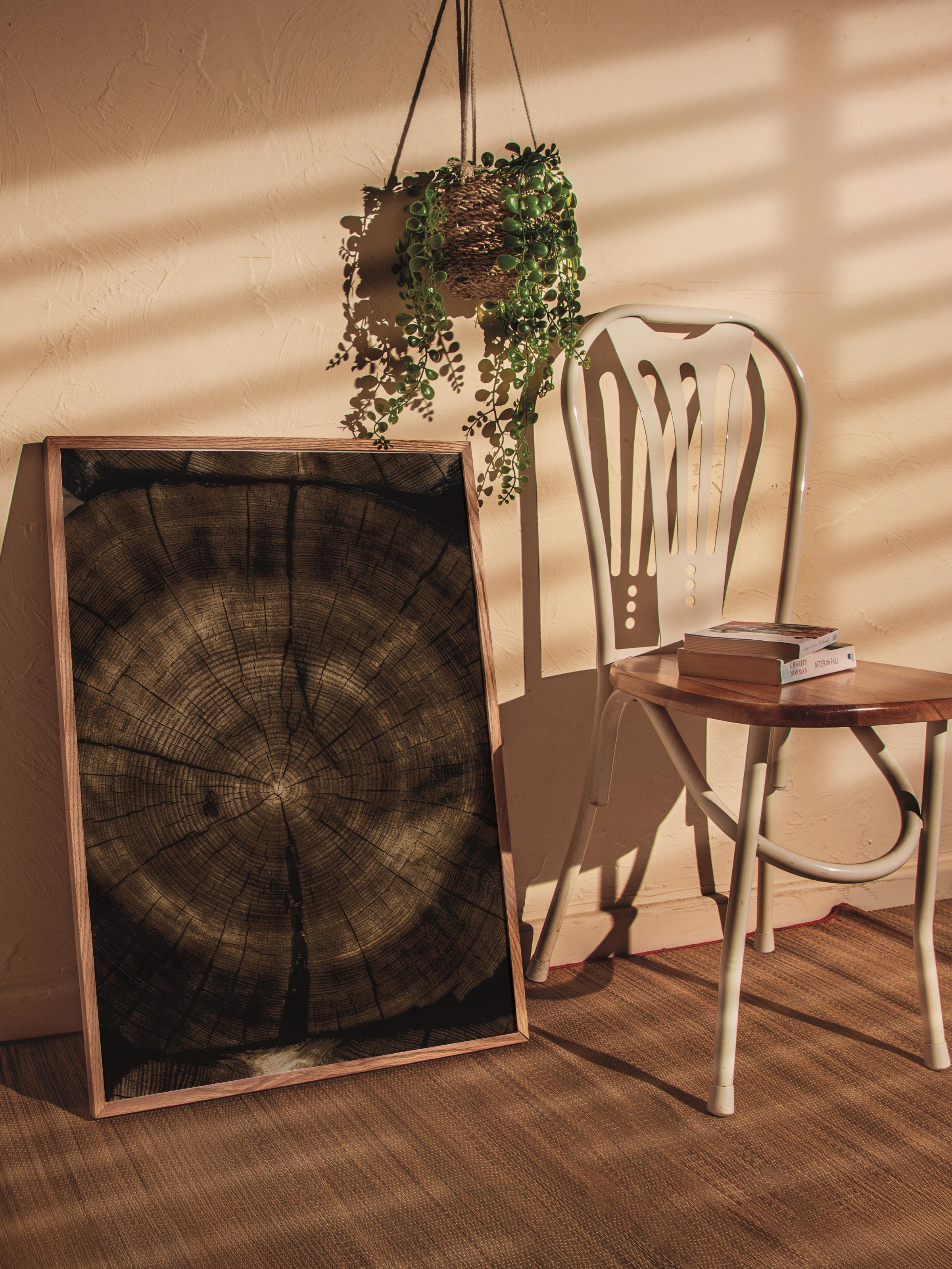 Rustic Çerçevesiz Poster, İskandinav Kahverengi Poster, NO:39 Ağaç Kesiti 1 Fotoğraf, Dikey