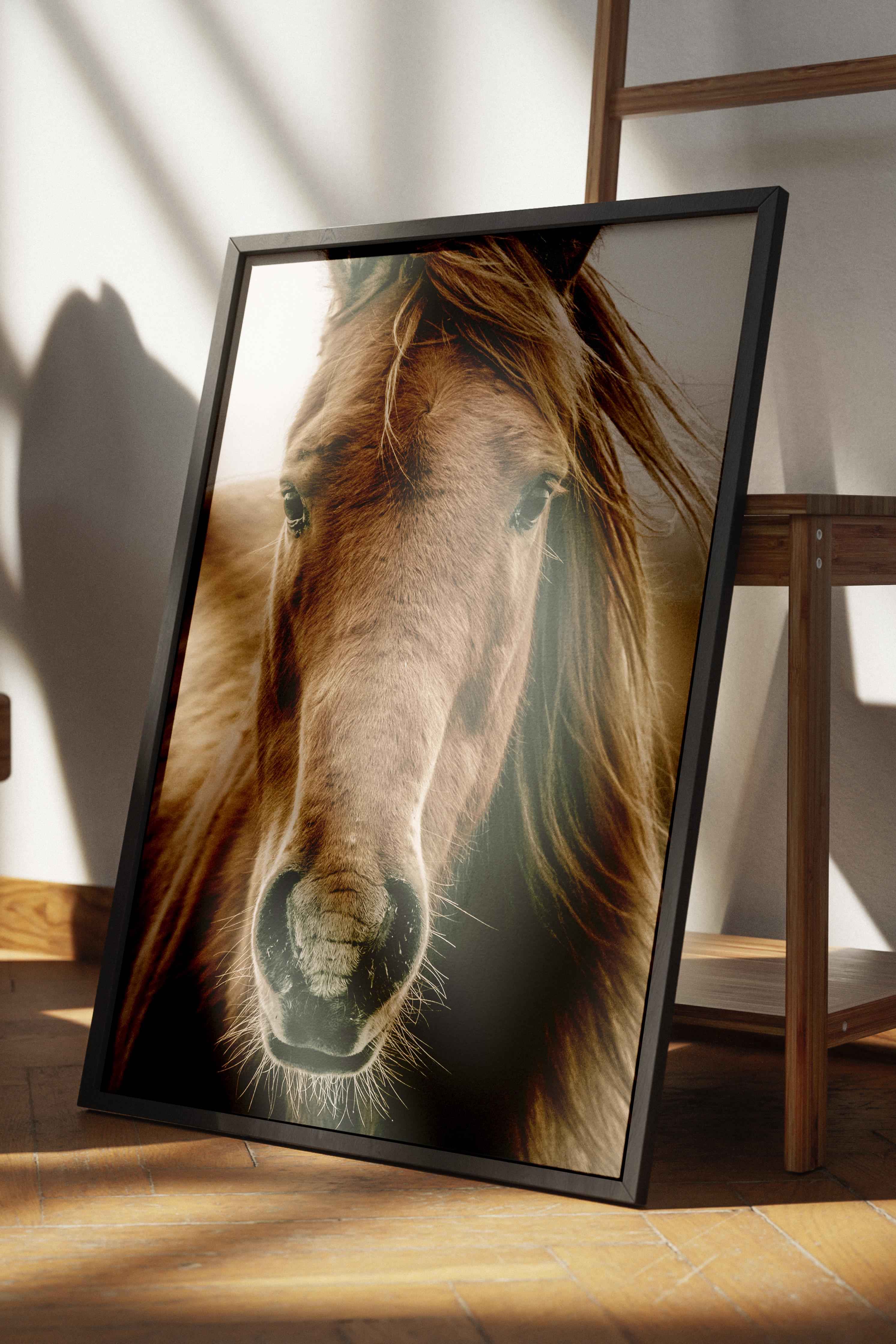 Rustic Çerçevesiz Poster, İskandinav Kahverengi Poster, NO:398 At Fotoğraf