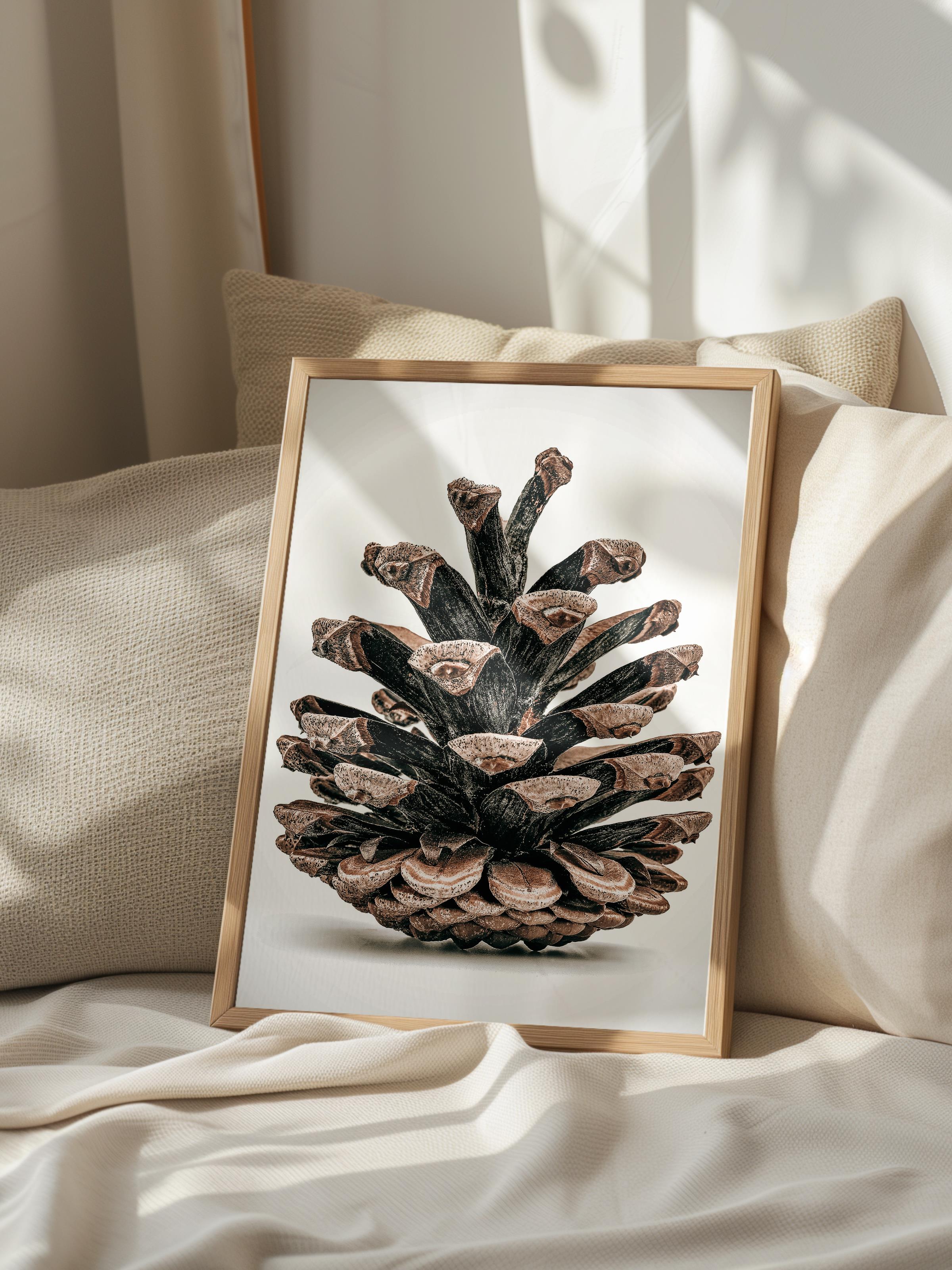 Rustic Çerçevesiz Poster, İskandinav Kahverengi Poster, NO:402 Kozalak Fotoğraf