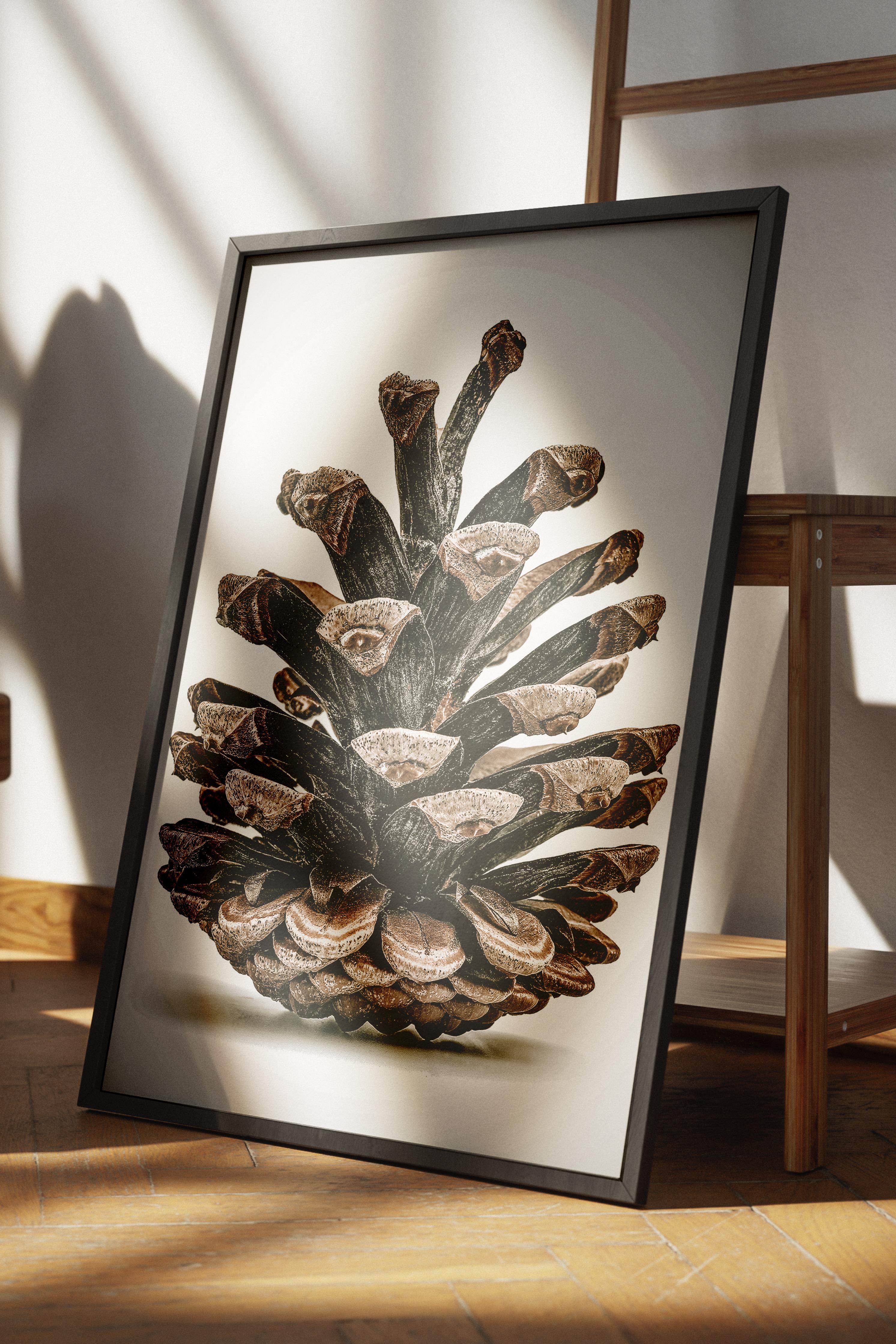 Rustic Çerçevesiz Poster, İskandinav Kahverengi Poster, NO:402 Kozalak Fotoğraf