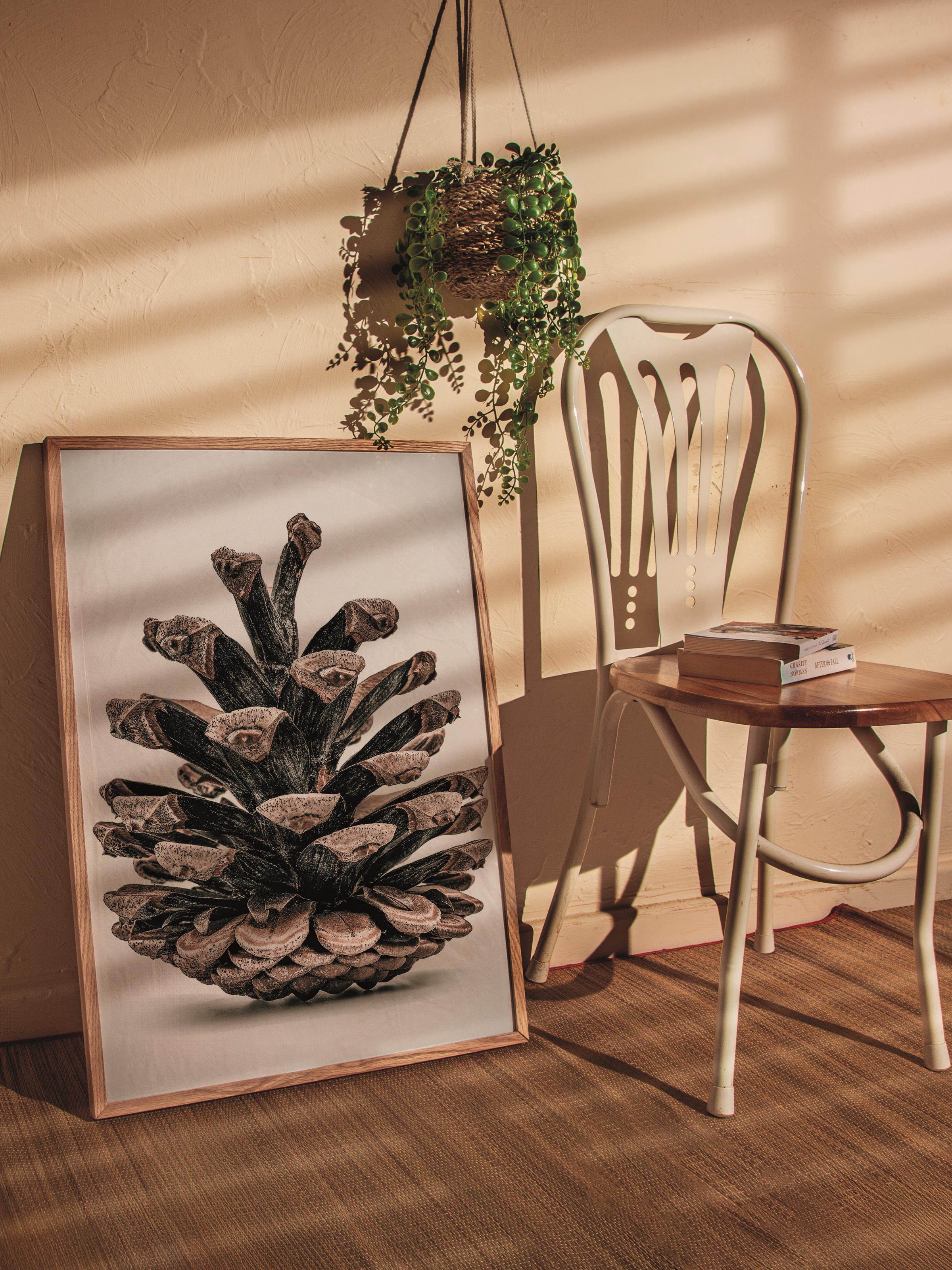 Rustic Çerçevesiz Poster, İskandinav Kahverengi Poster, NO:402 Kozalak Fotoğraf
