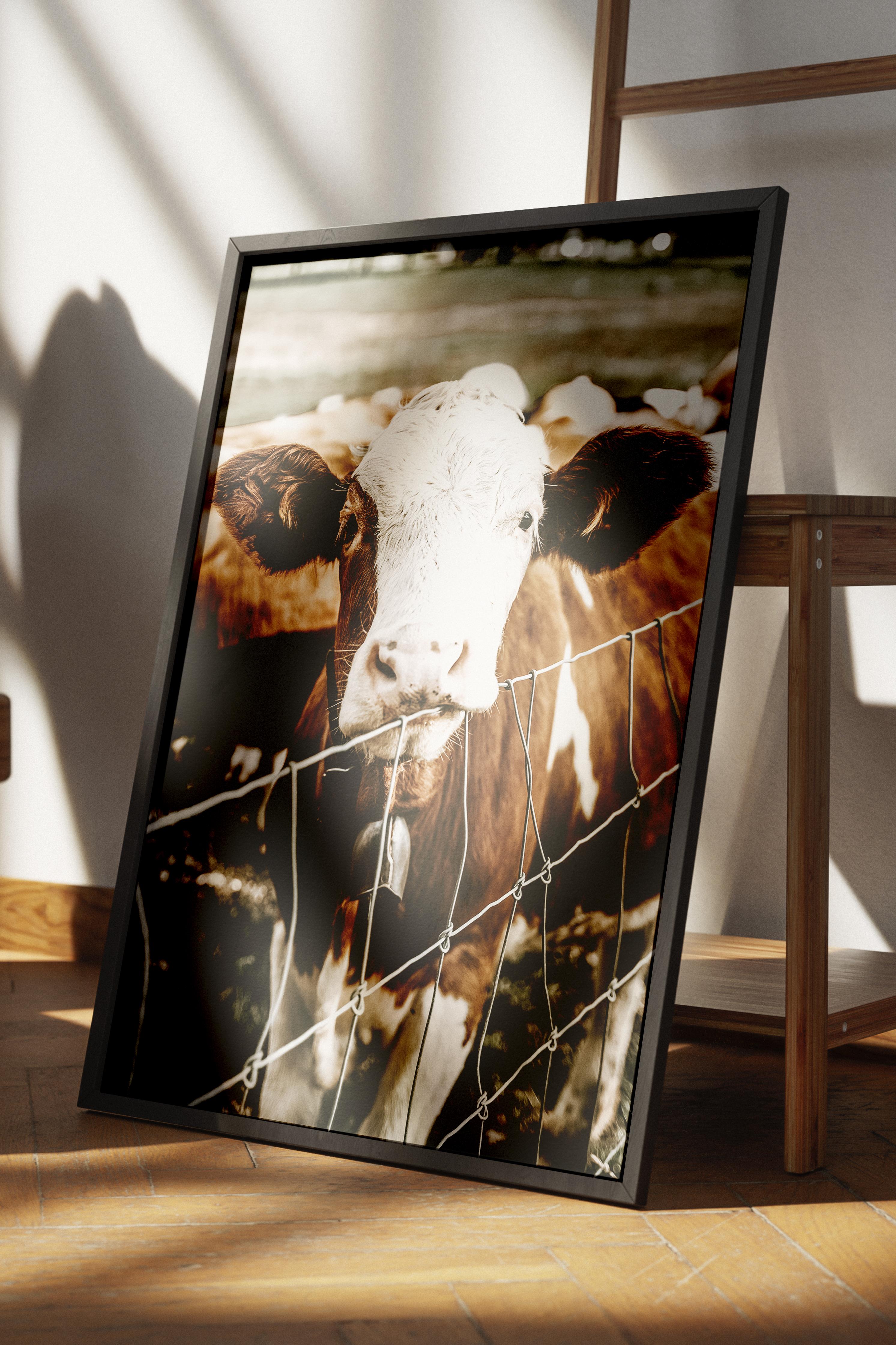 Rustic Çerçevesiz Poster, İskandinav Kahverengi Poster, NO:431 İnek Fotoğraf