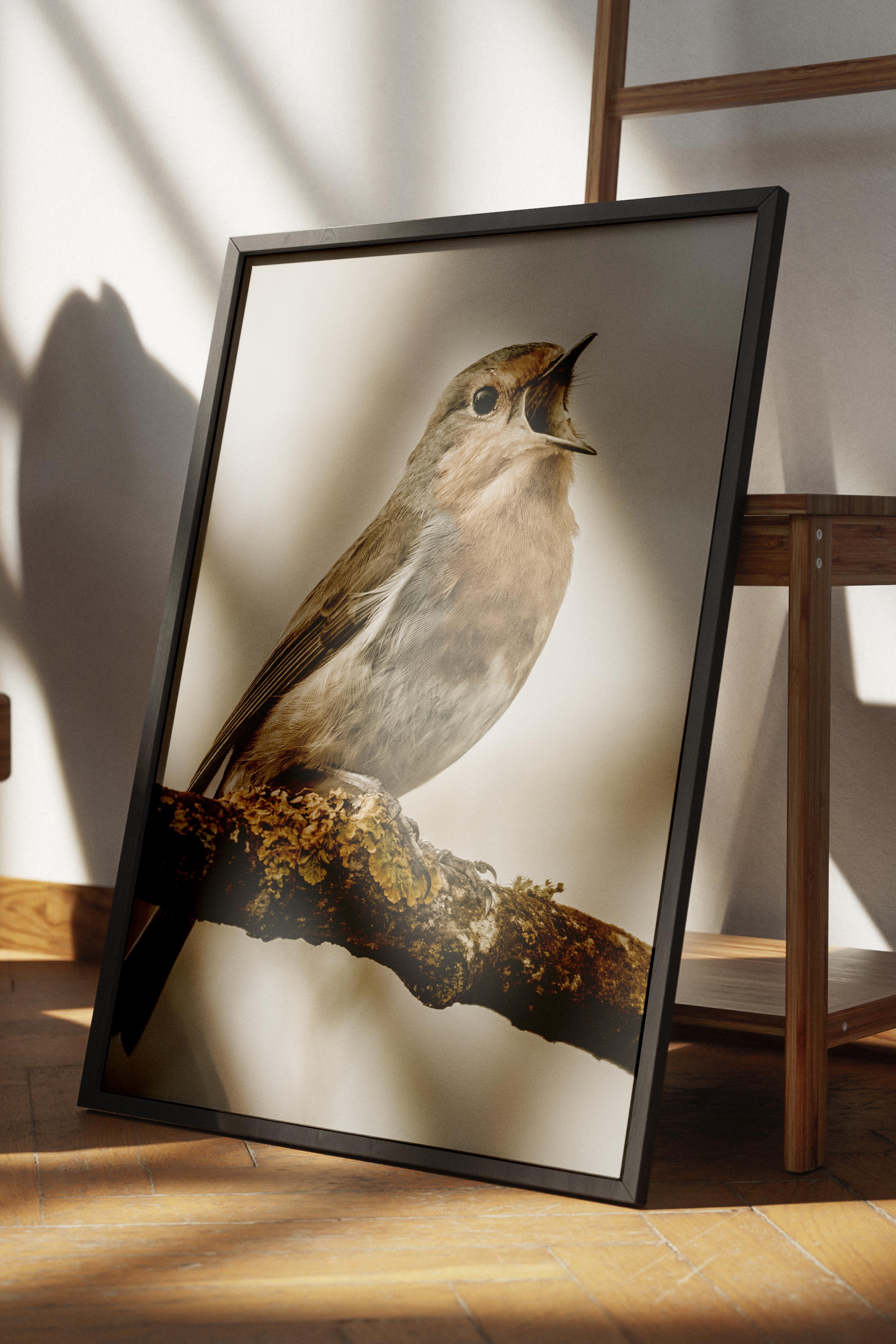Rustic Çerçevesiz Poster, İskandinav Kahverengi Poster, NO:432 Kuş Fotoğraf
