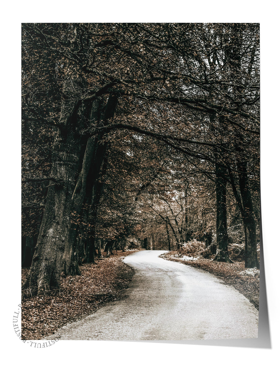 Kıvrımlı Orman Yolu Rustic Çerçevesiz Poster
