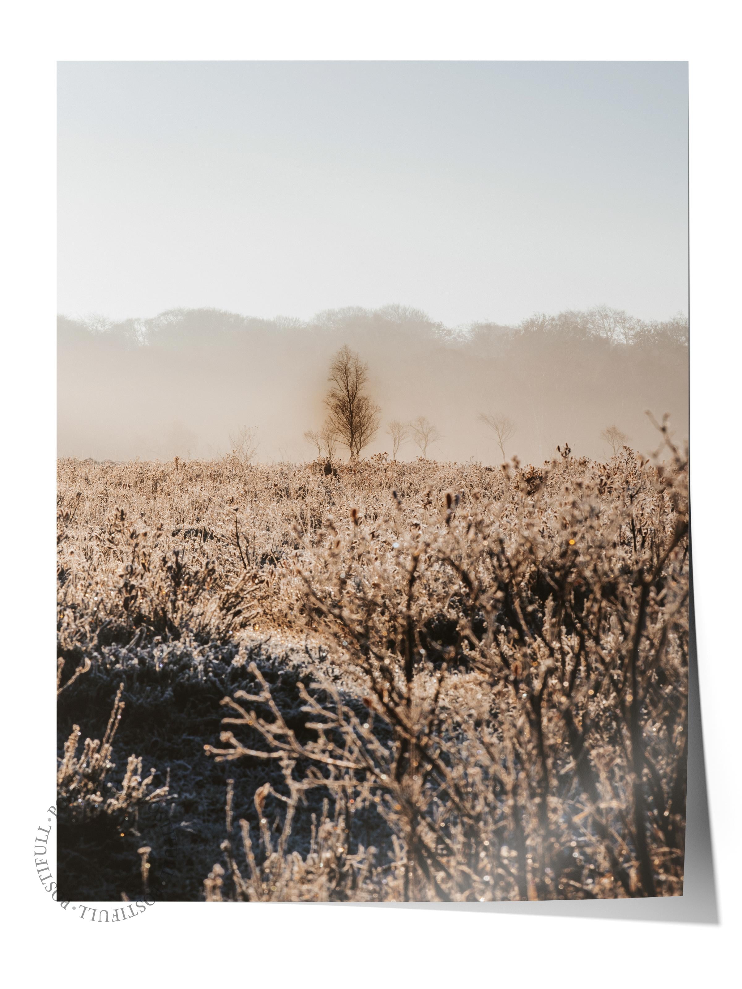 Rustic Çerçevesiz Poster, İskandinav Kahverengi Poster, NO:473 Doğa Fotoğraf