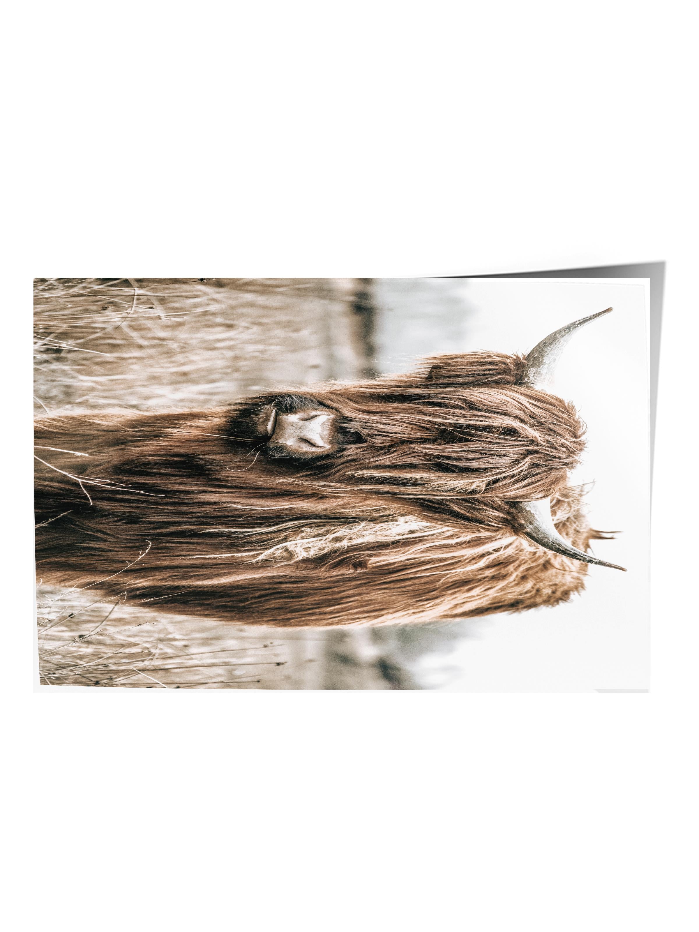 Rustic Çerçevesiz Poster, İskandinav Kahverengi Tablo, NO:491 Sığır Fotoğraf