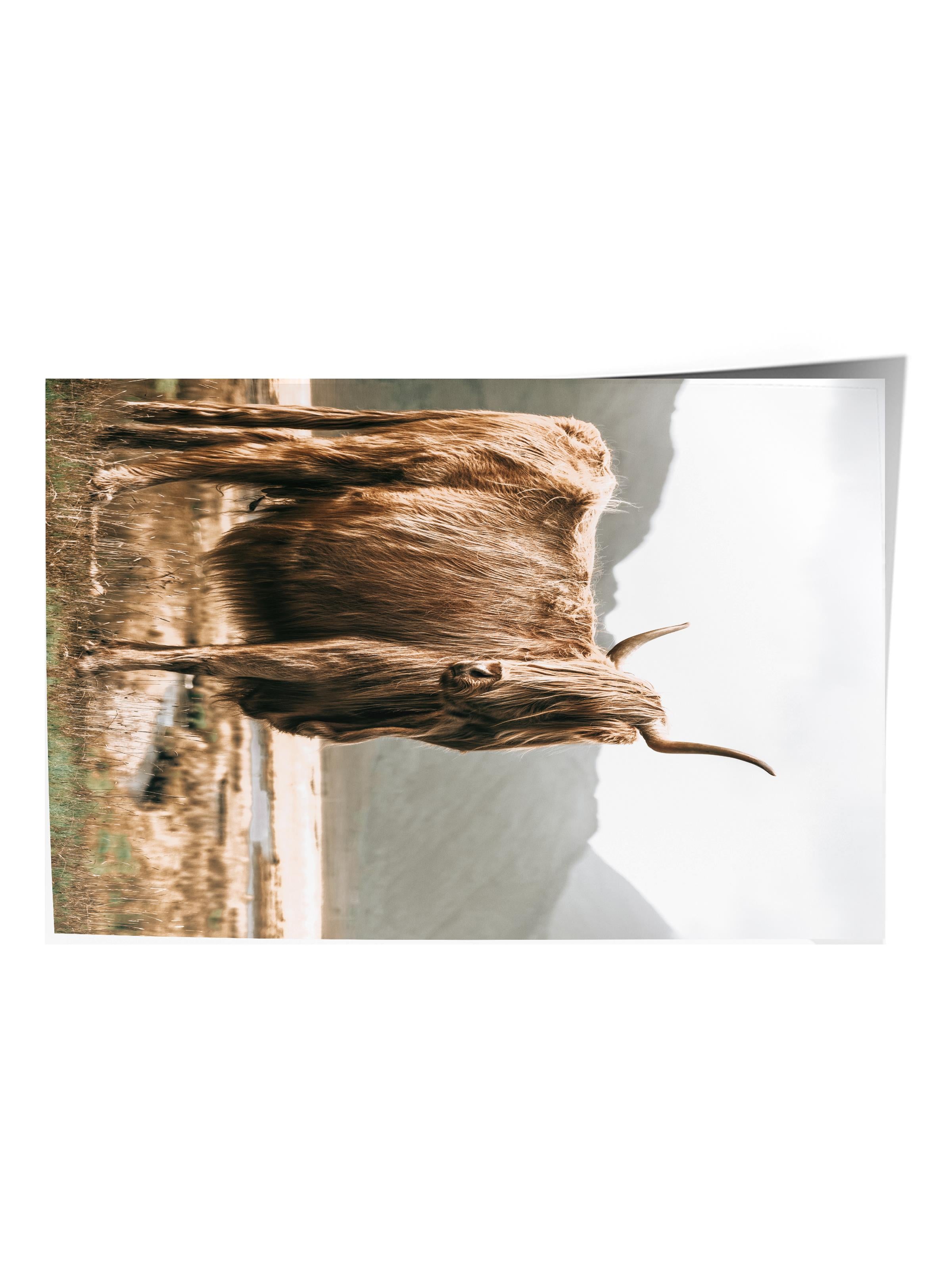Rustic Çerçevesiz Poster, İskandinav Kahverengi Tablo, NO:492 Sığır Fotoğraf