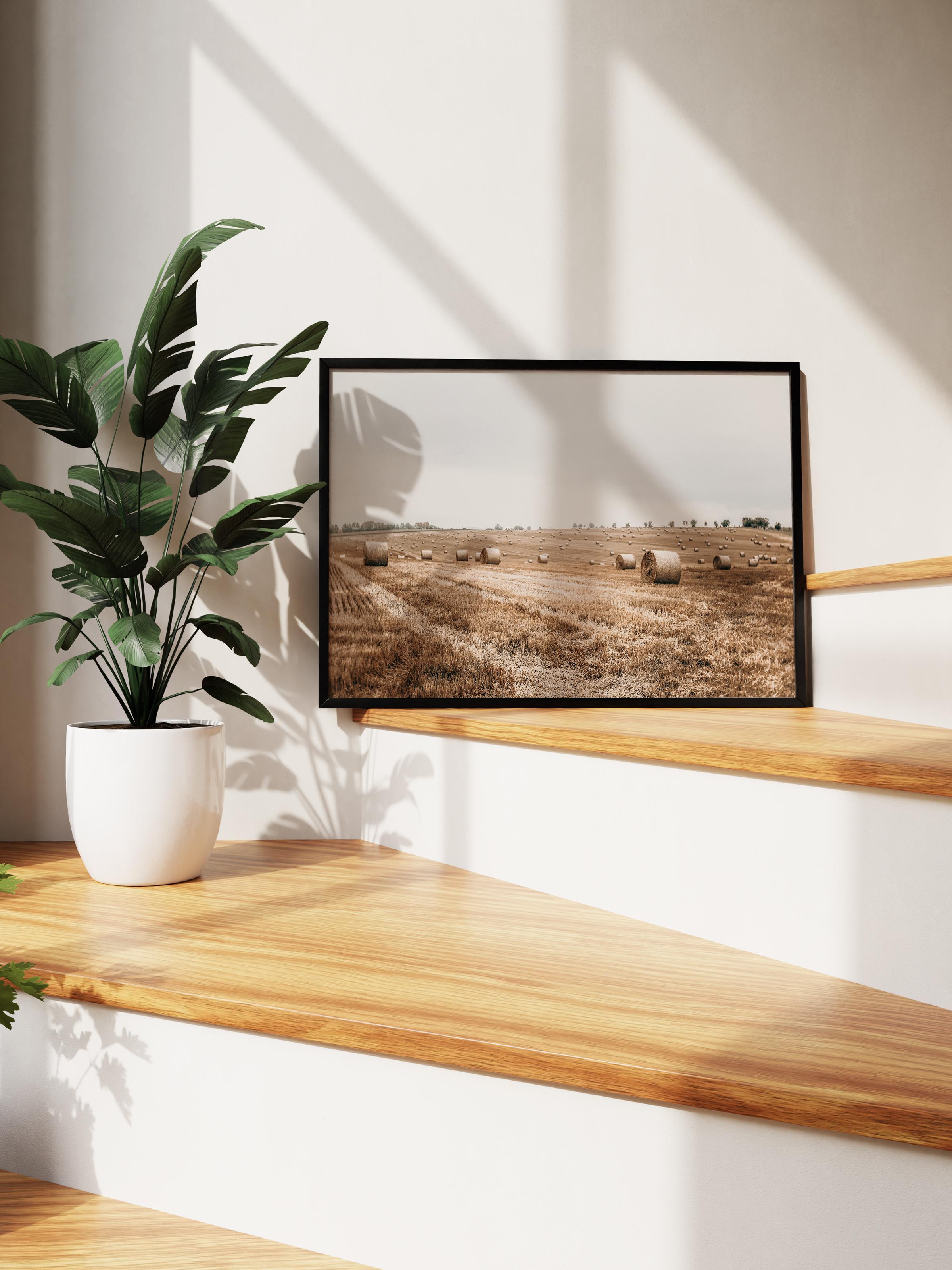 Rustic Çerçevesiz Poster, İskandinav Kahverengi Tablo, NO:498 Tarla Fotoğraf