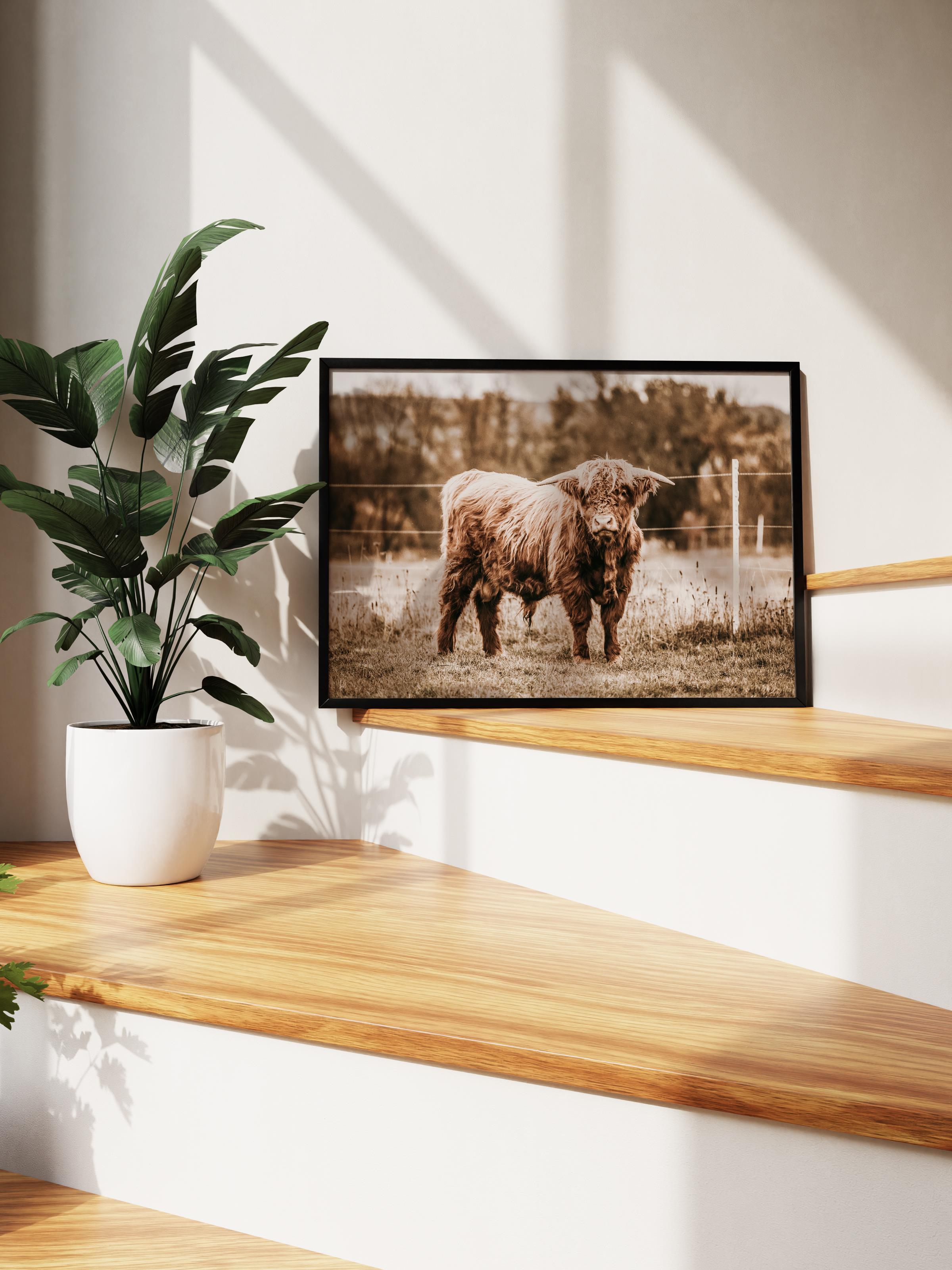 Rustic Çerçevesiz Poster, İskandinav Kahverengi Tablo, NO:500 Sığır Fotoğraf