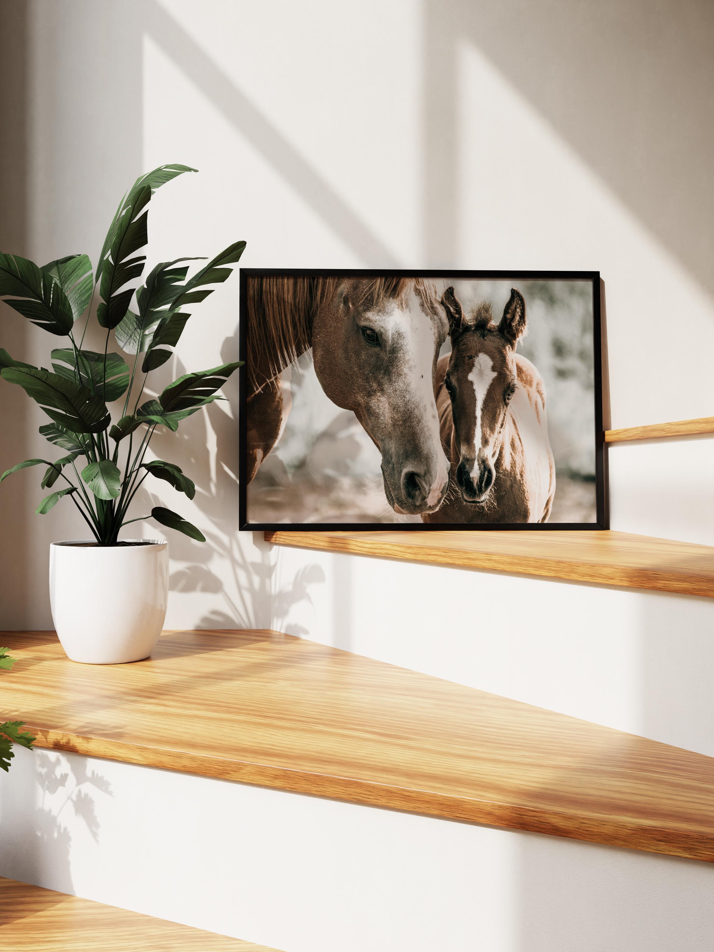 Rustic Çerçevesiz Poster, İskandinav Kahverengi Tablo, NO:501 Atlar Fotoğraf