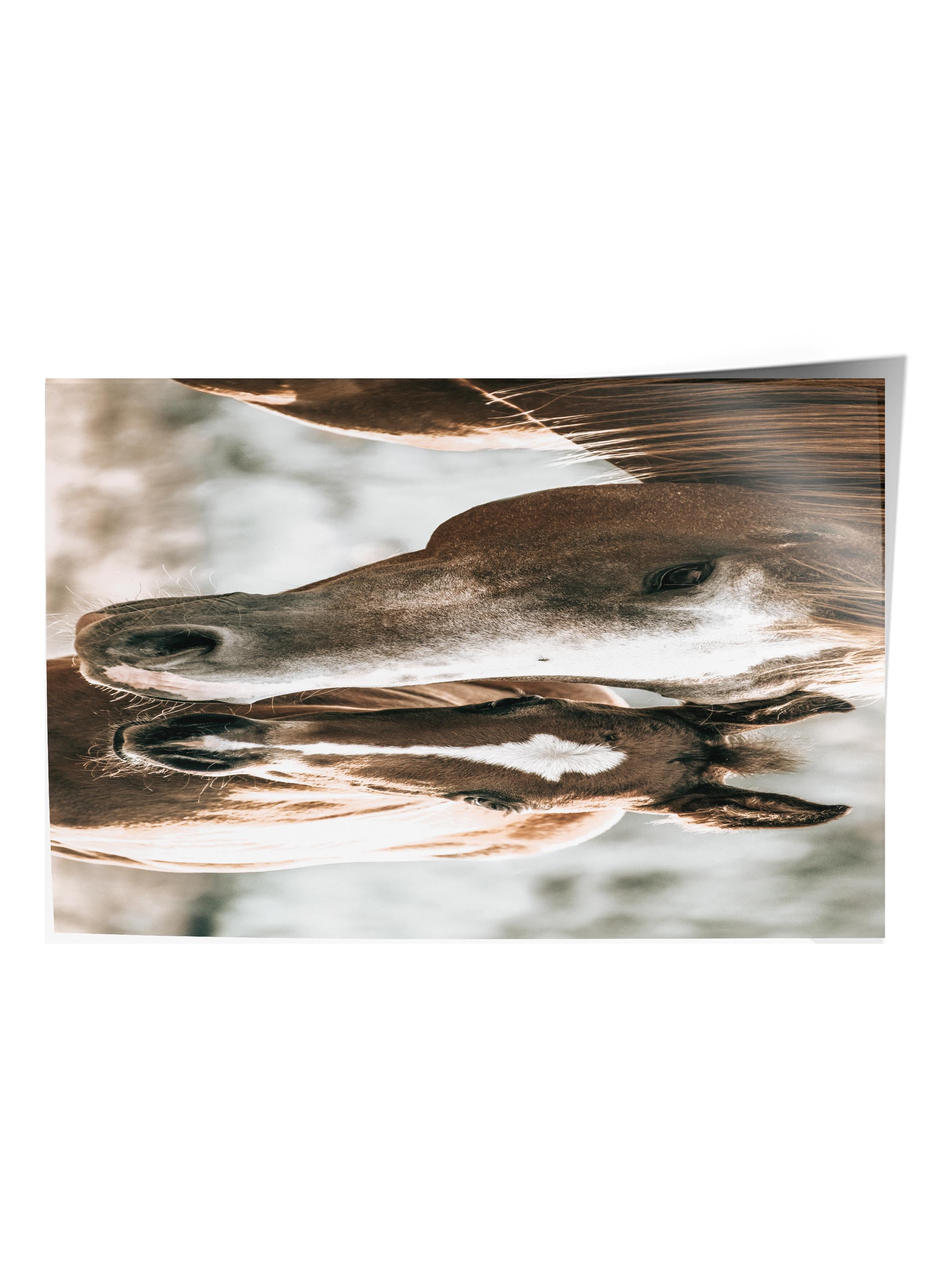 Rustic Çerçevesiz Poster, İskandinav Kahverengi Tablo, NO:501 Atlar Fotoğraf