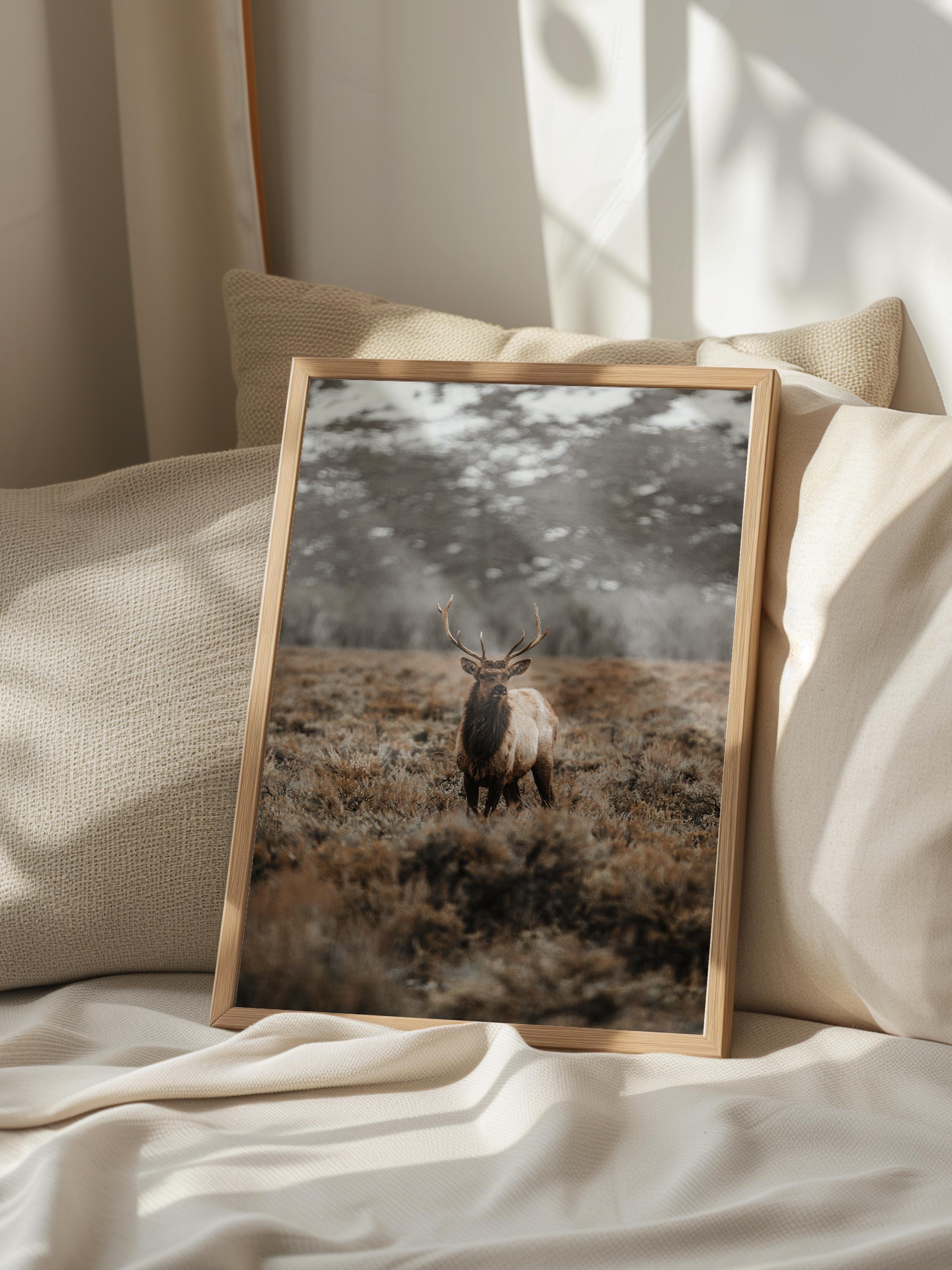 Rustic Çerçevesiz Poster, İskandinav Kahverengi Poster, NO:51 Uzakta İnek Fotoğraf, Dikey