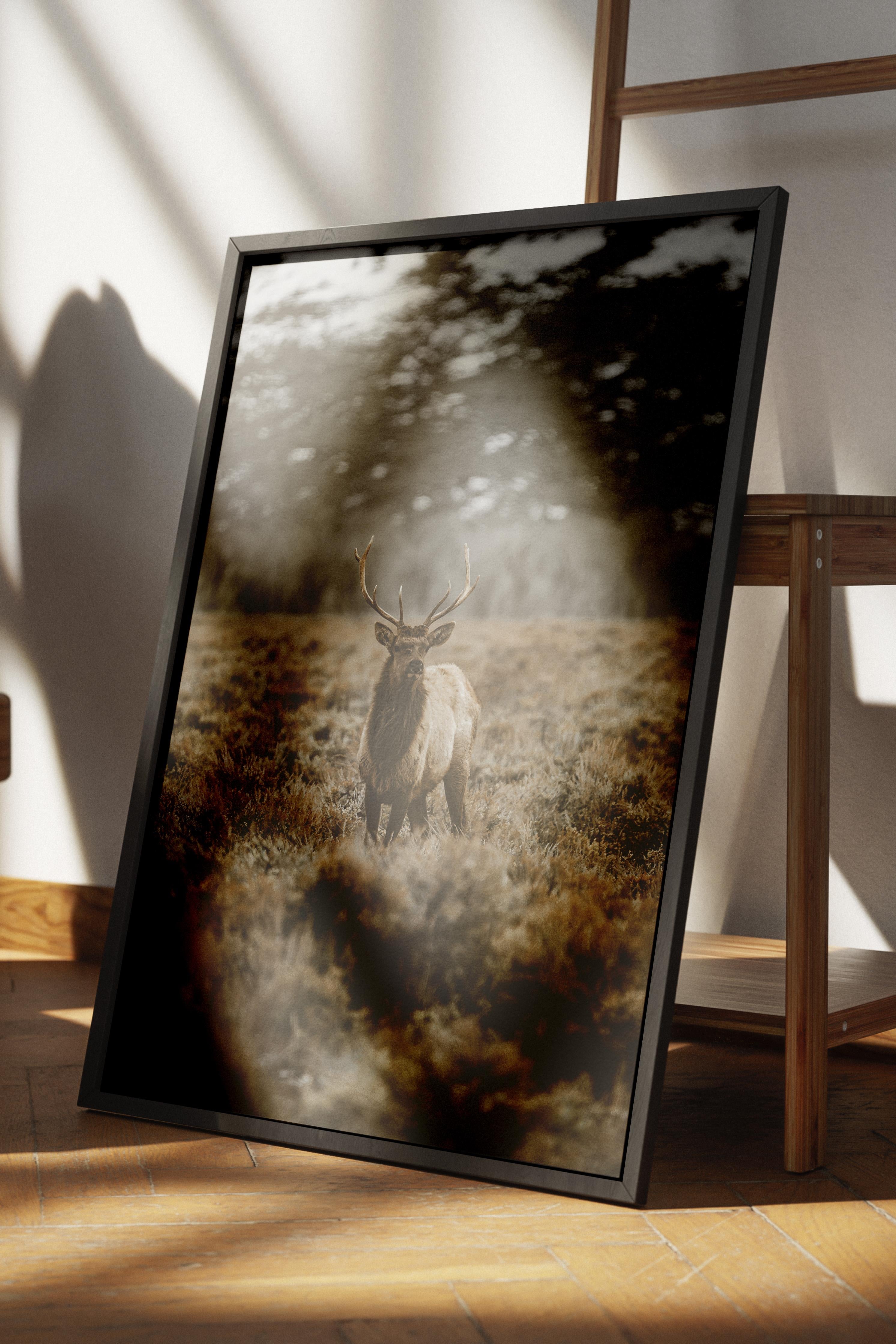 Rustic Çerçevesiz Poster, İskandinav Kahverengi Poster, NO:51 Uzakta İnek Fotoğraf, Dikey