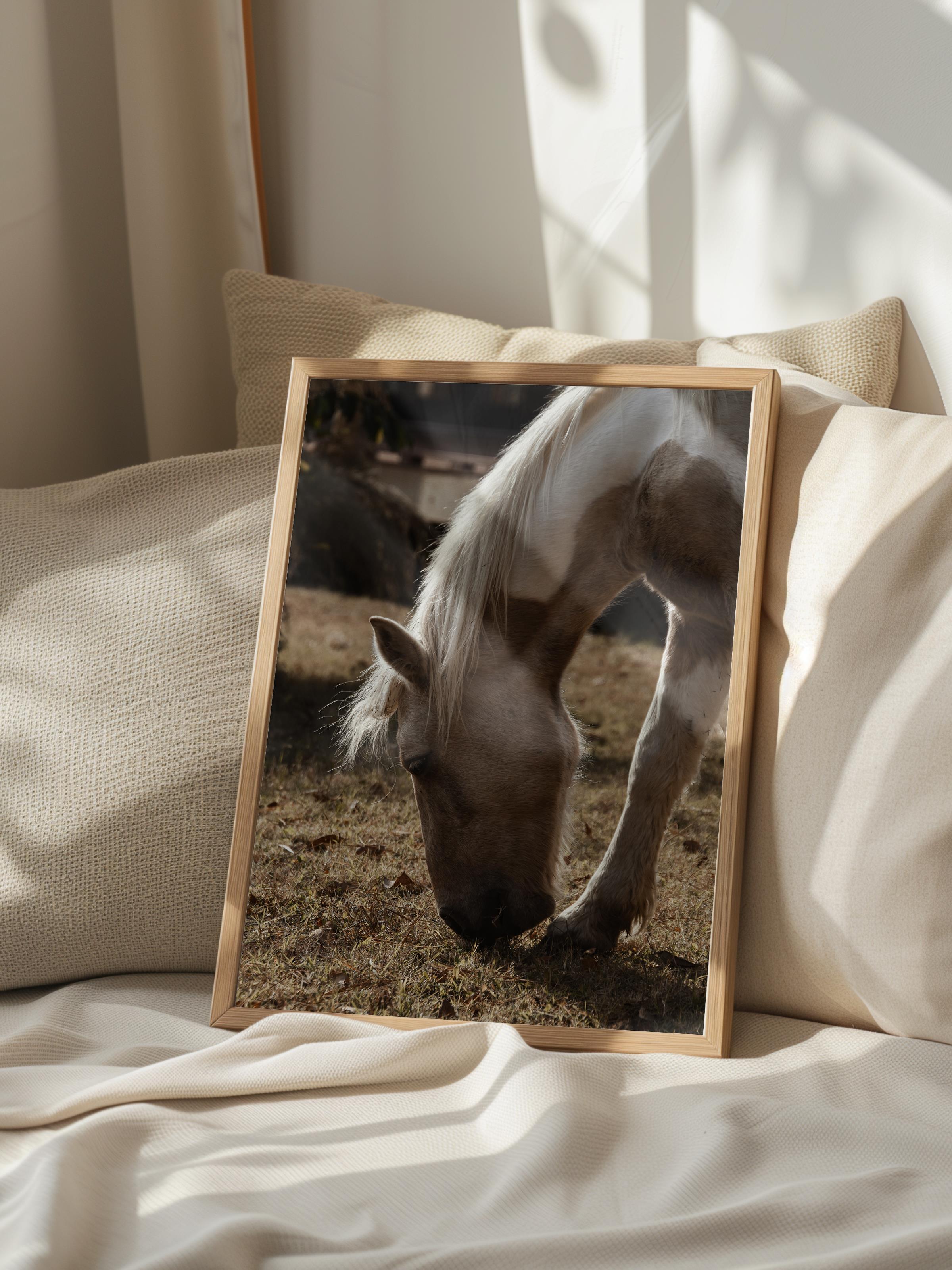 Rustic Çerçevesiz Poster, İskandinav Kahverengi Poster, NO:52 Otlayan At Fotoğraf, Dikey