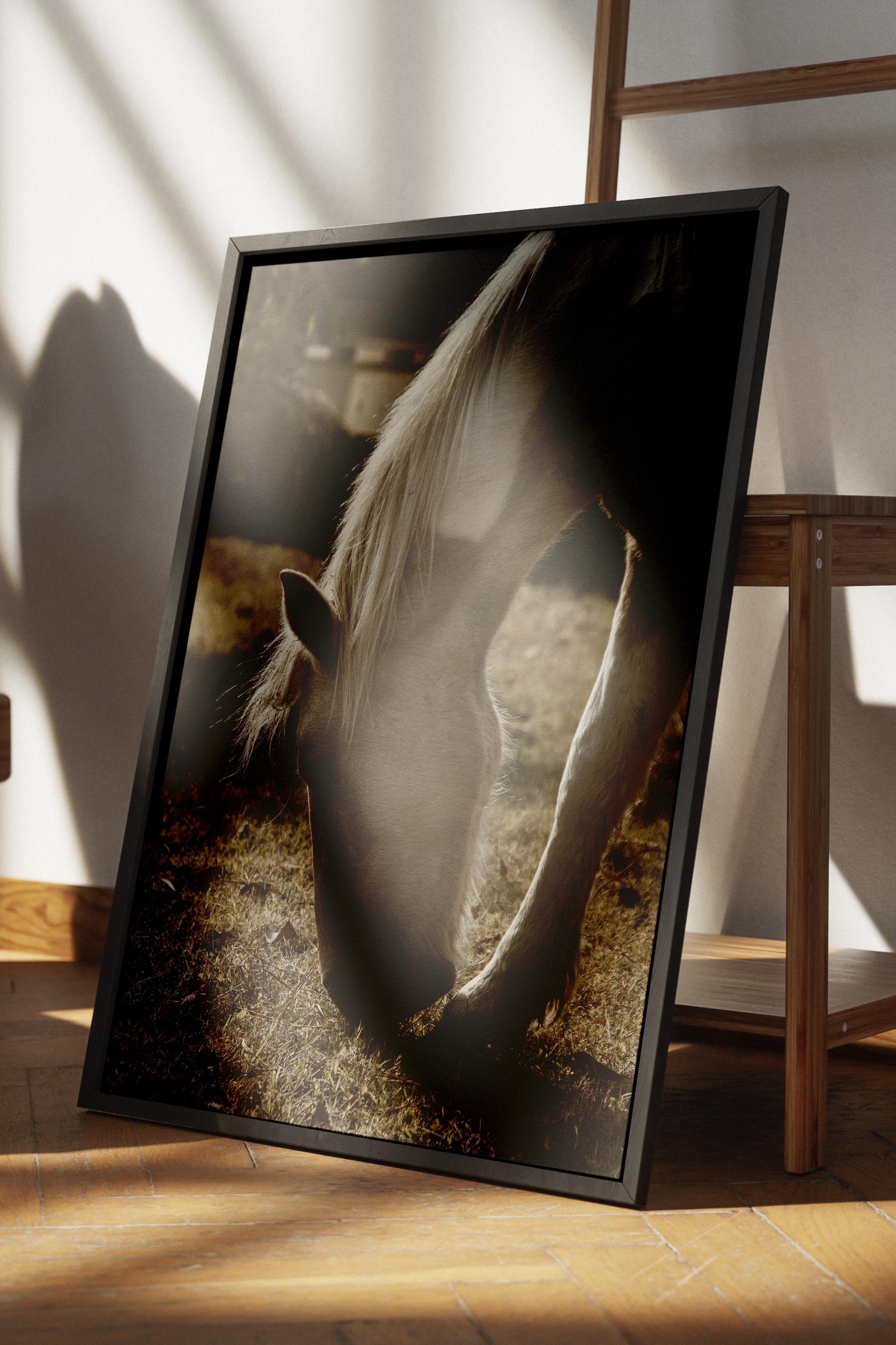 Rustic Çerçevesiz Poster, İskandinav Kahverengi Poster, NO:52 Otlayan At Fotoğraf, Dikey