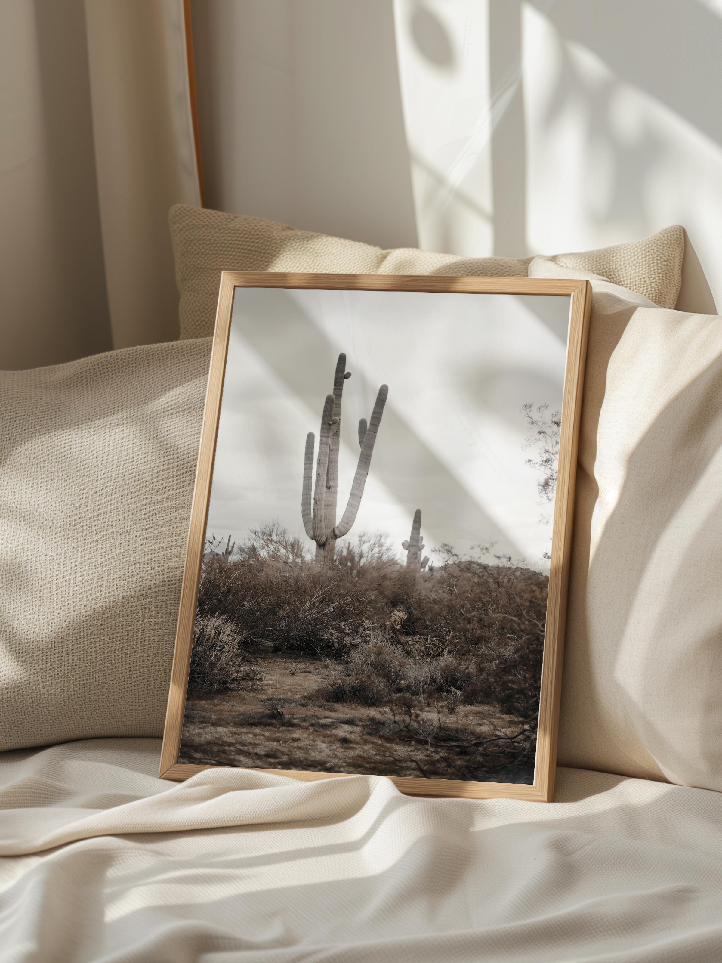 Rustic Çerçevesiz Poster, İskandinav Kahverengi Poster, NO:57 Kaktüs Fotoğraf, Dikey