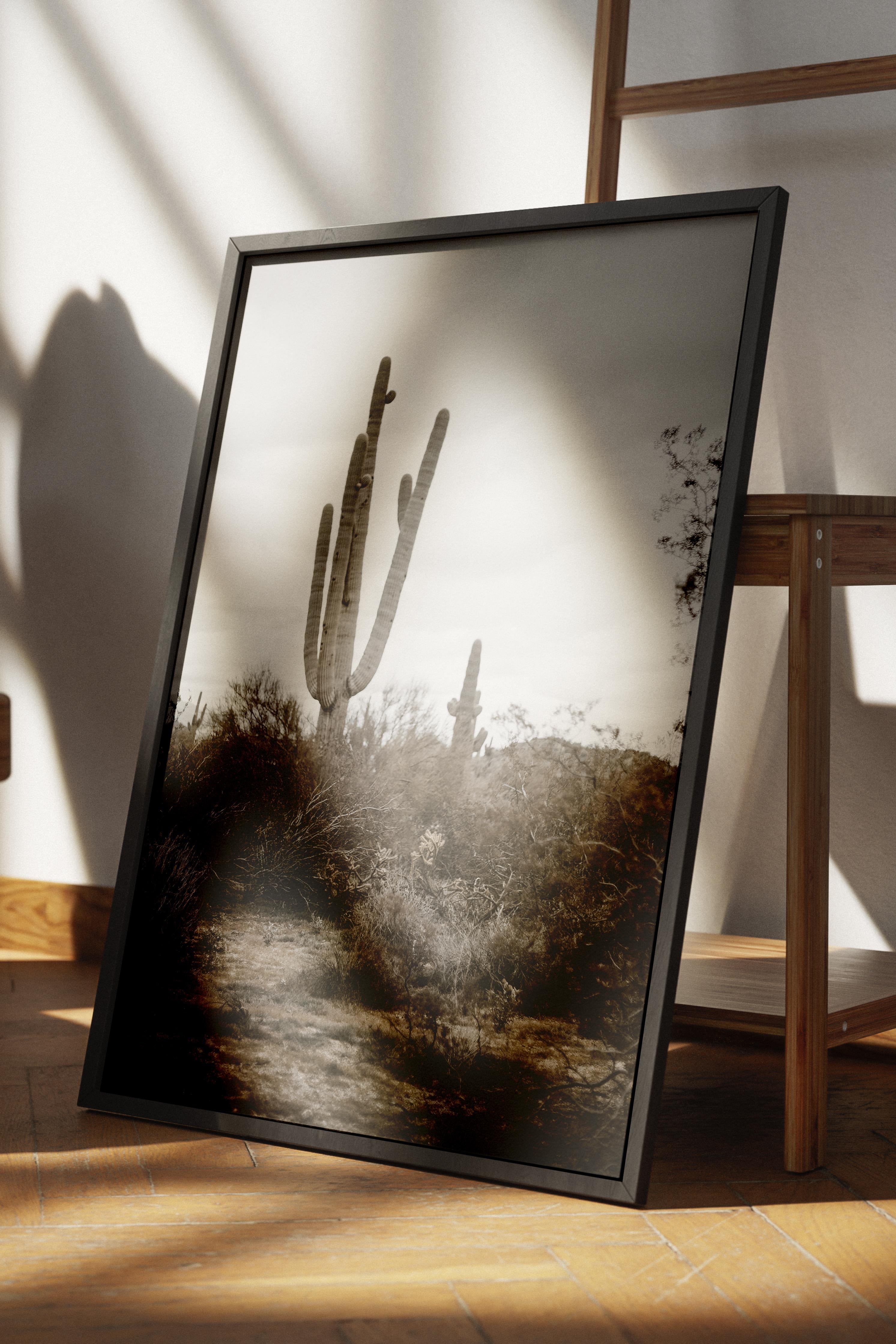 Rustic Çerçevesiz Poster, İskandinav Kahverengi Poster, NO:57 Kaktüs Fotoğraf, Dikey