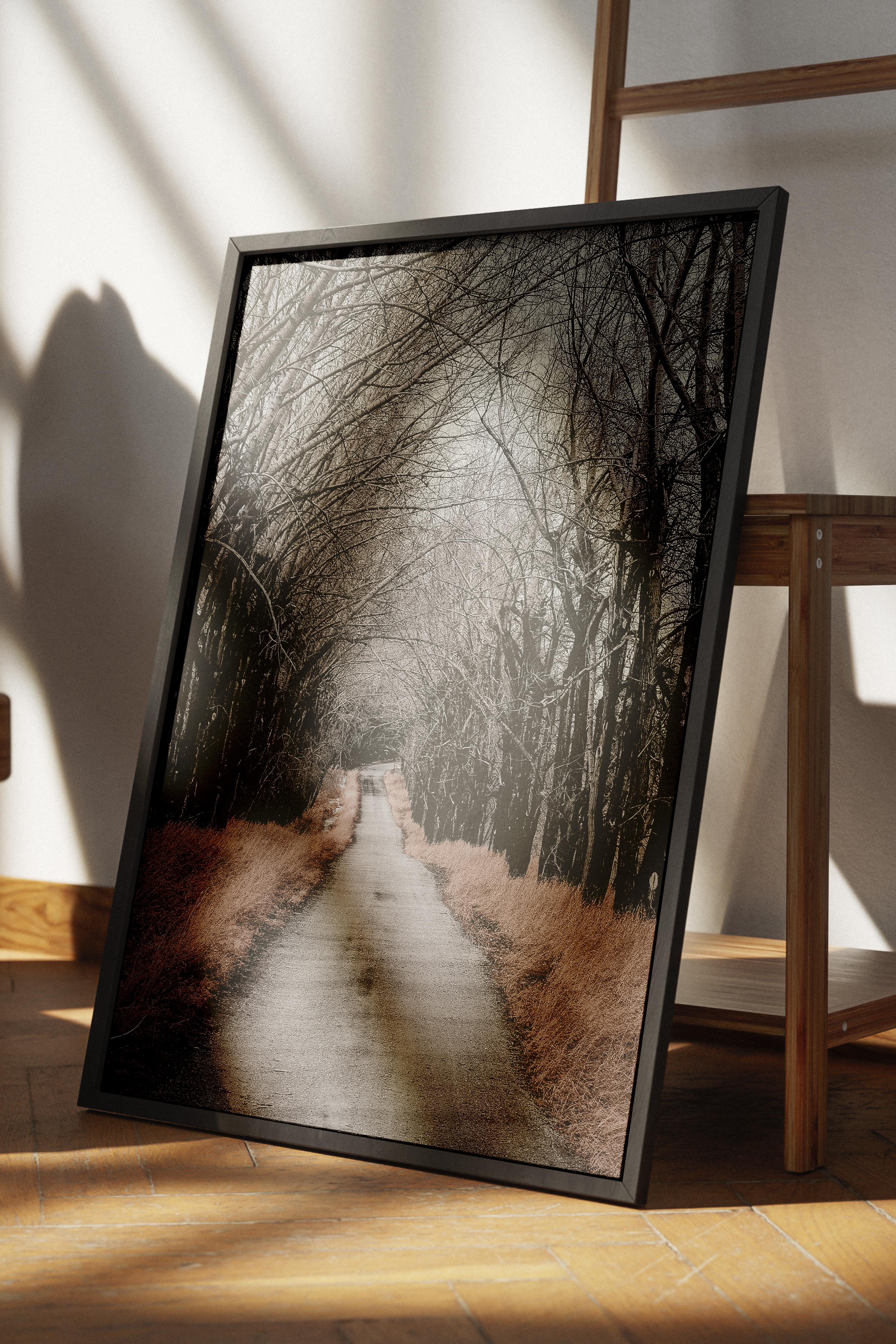 Rustic Çerçevesiz Poster, İskandinav Kahverengi Poster, NO:94 Orman Yolu Fotoğraf, Dikey