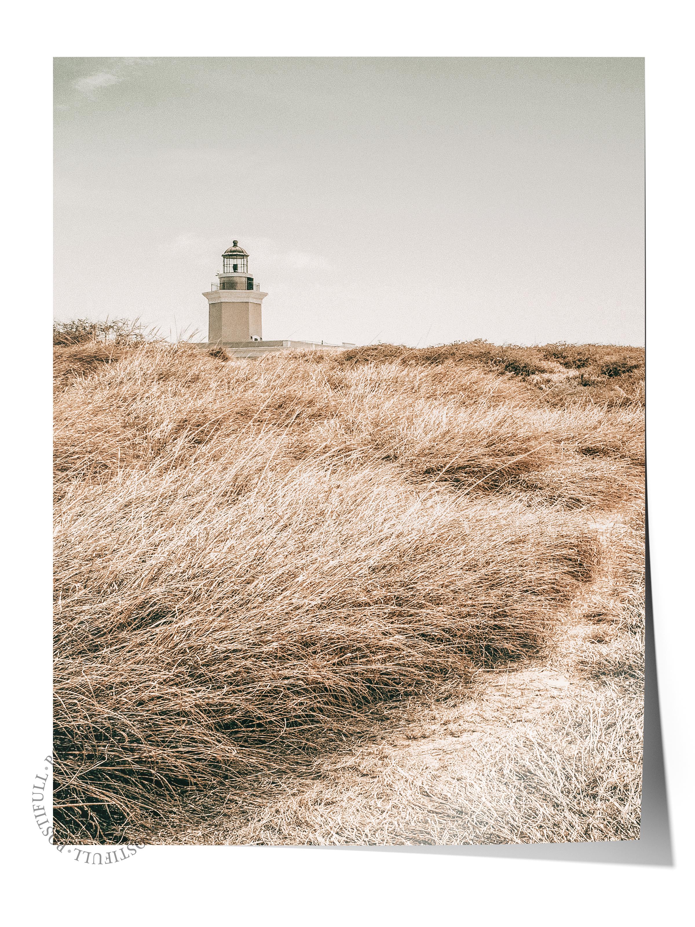 Rustic Çerçevesiz Poster, İskandinav Kahverengi Poster, NO:96 Deniz Feneri ve Çimenler Fotoğraf Dikey