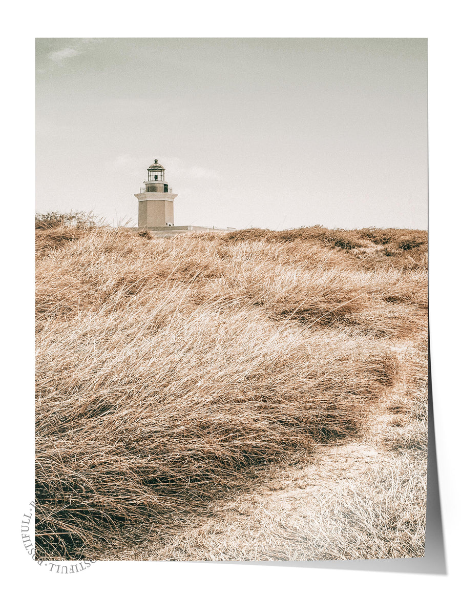 Deniz Feneri ve Sonbahar Otları Rustic Çerçevesiz Poster