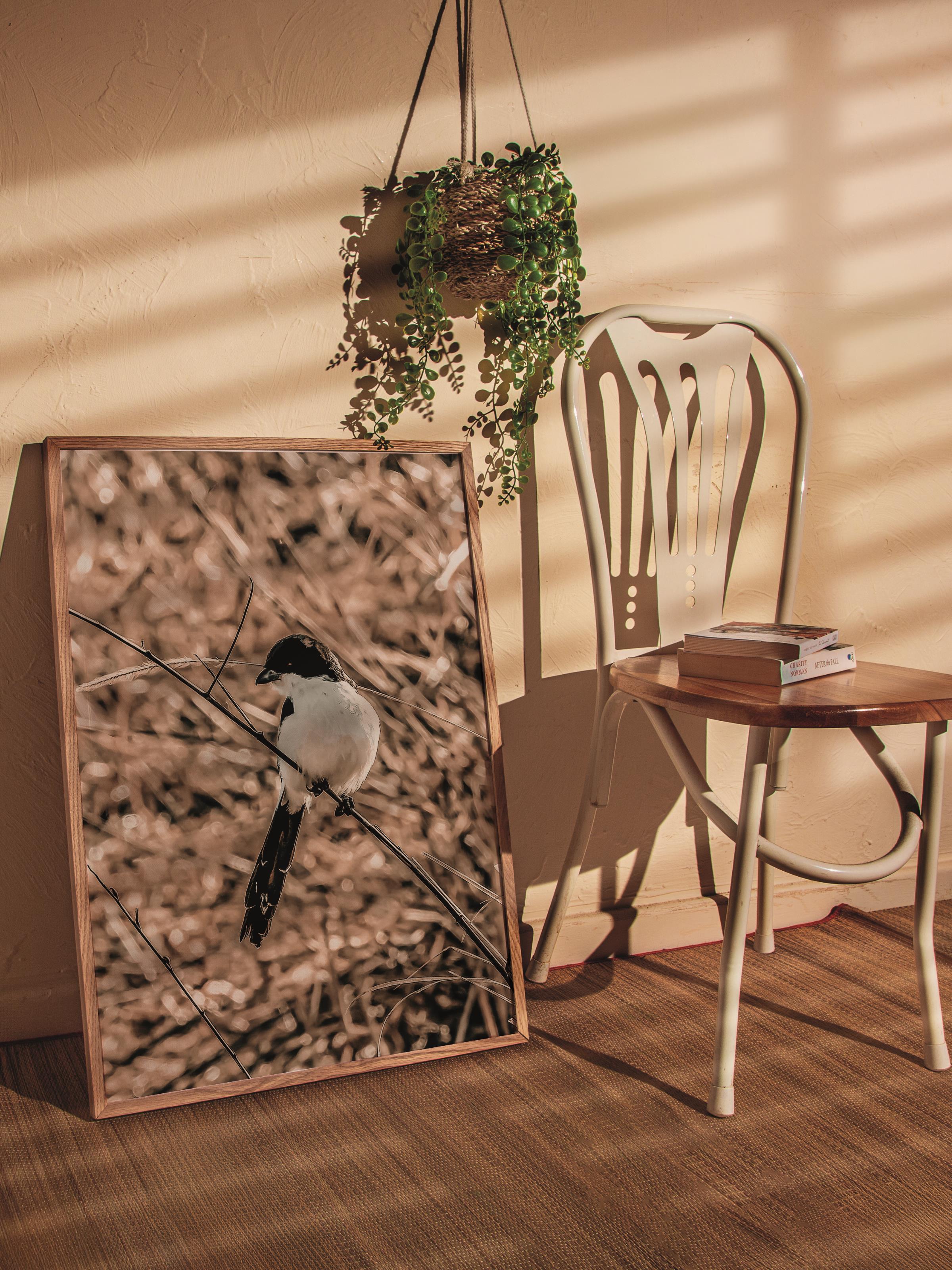 Rustic Çerçevesiz Poster, İskandinav Kahverengi Poster, NO:98 Kuş ve Tohumlar Fotoğraf, Dikey