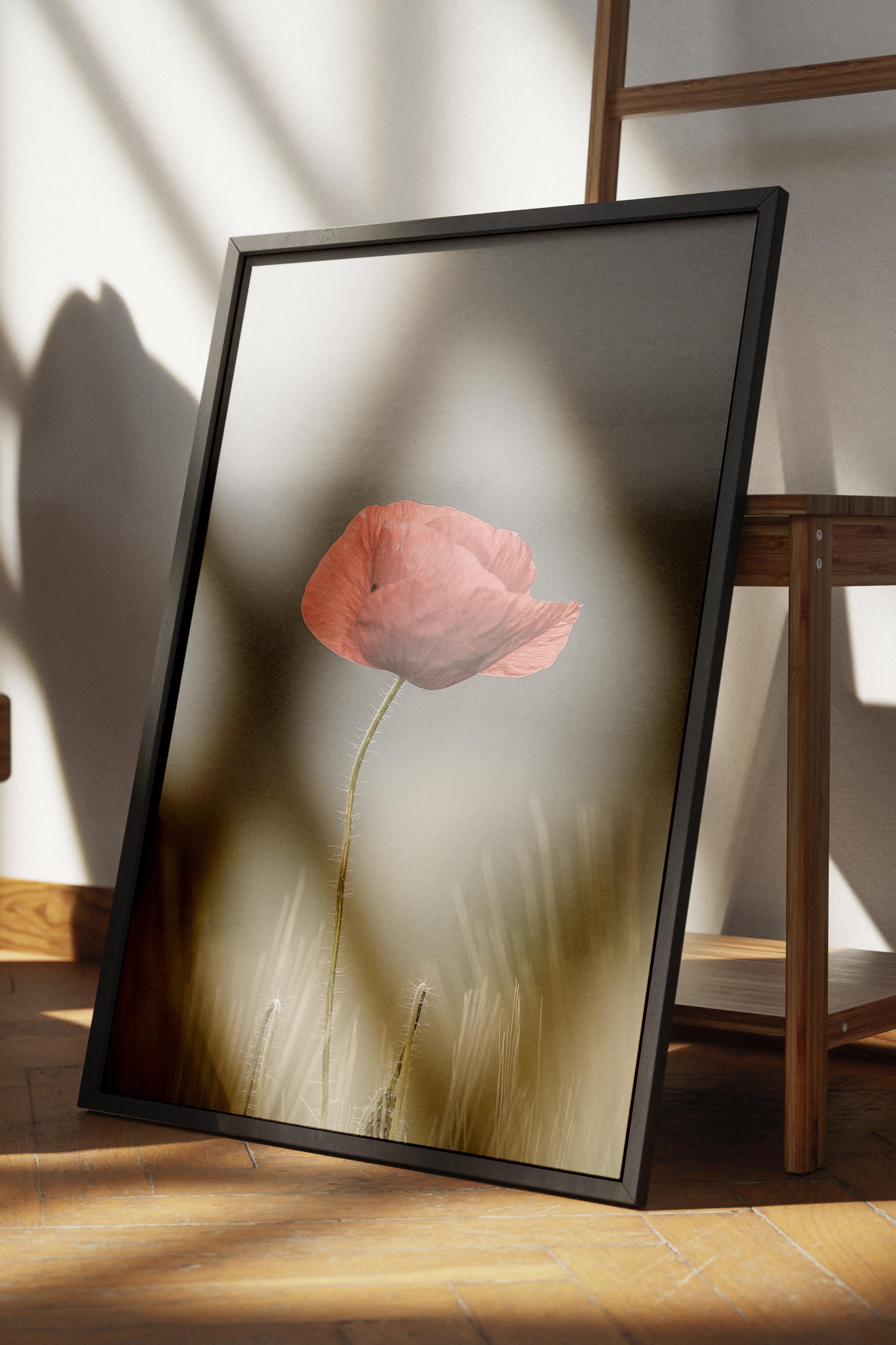 Rustic Çerçevesiz Poster, İskandinav Kırmızı Poster, NO:306 Gelincik Çiçeği Fotoğraf, Dikey