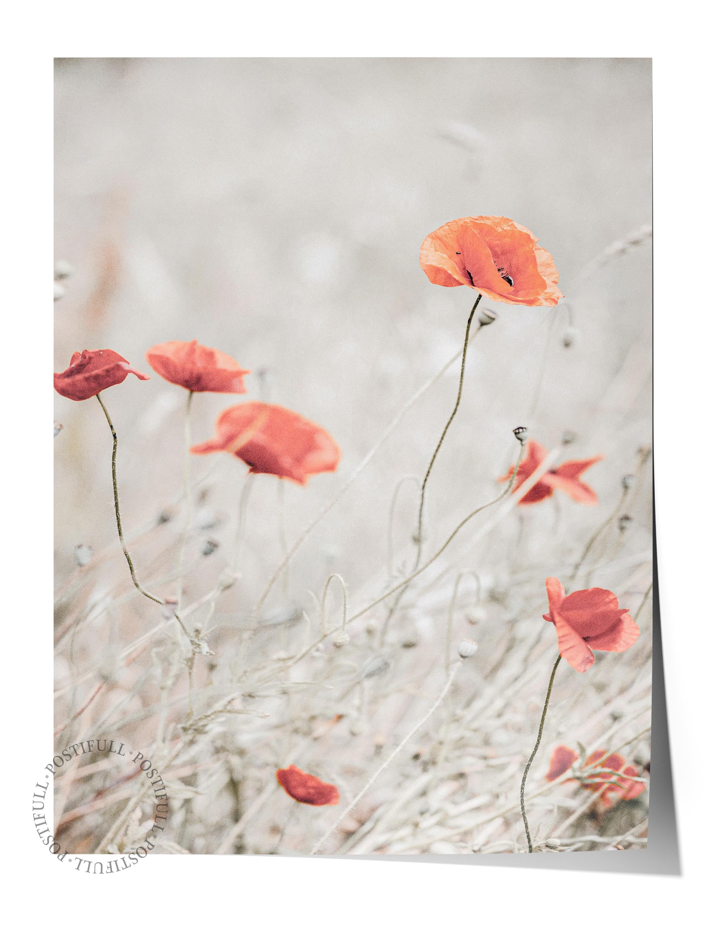 Rustic Çerçevesiz Poster, İskandinav Kırmızı Poster, NO:324 Gelincikler Fotoğraf, Dikey