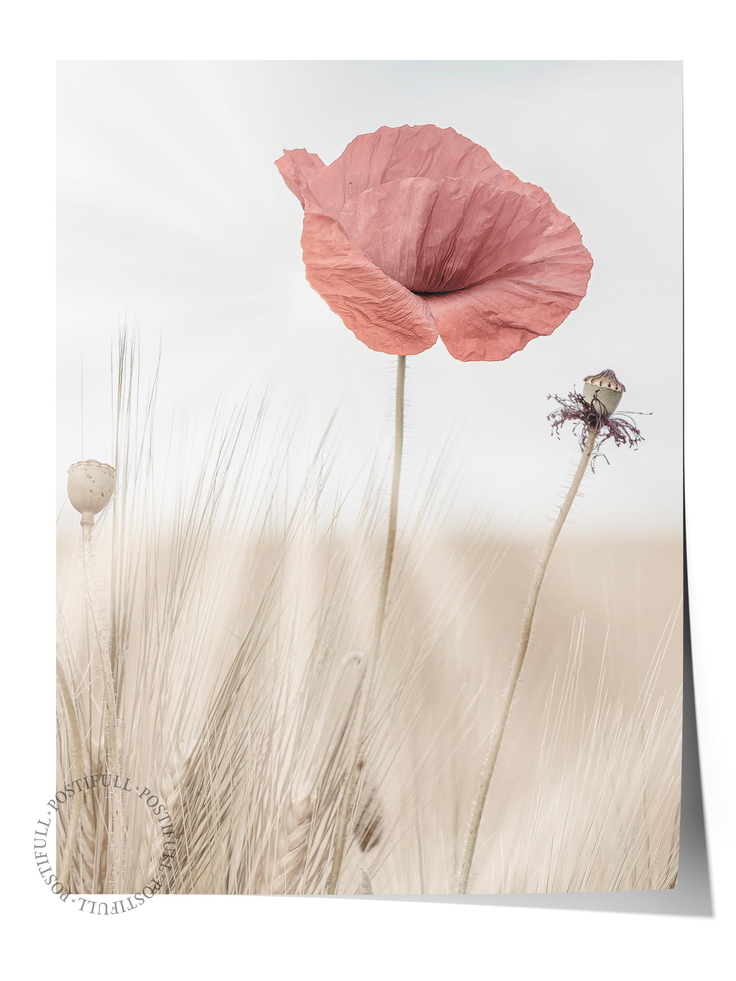 Rustic Çerçevesiz Poster, İskandinav Kırmızı Poster, NO:335 Gelincik Fotoğraf, Dikey