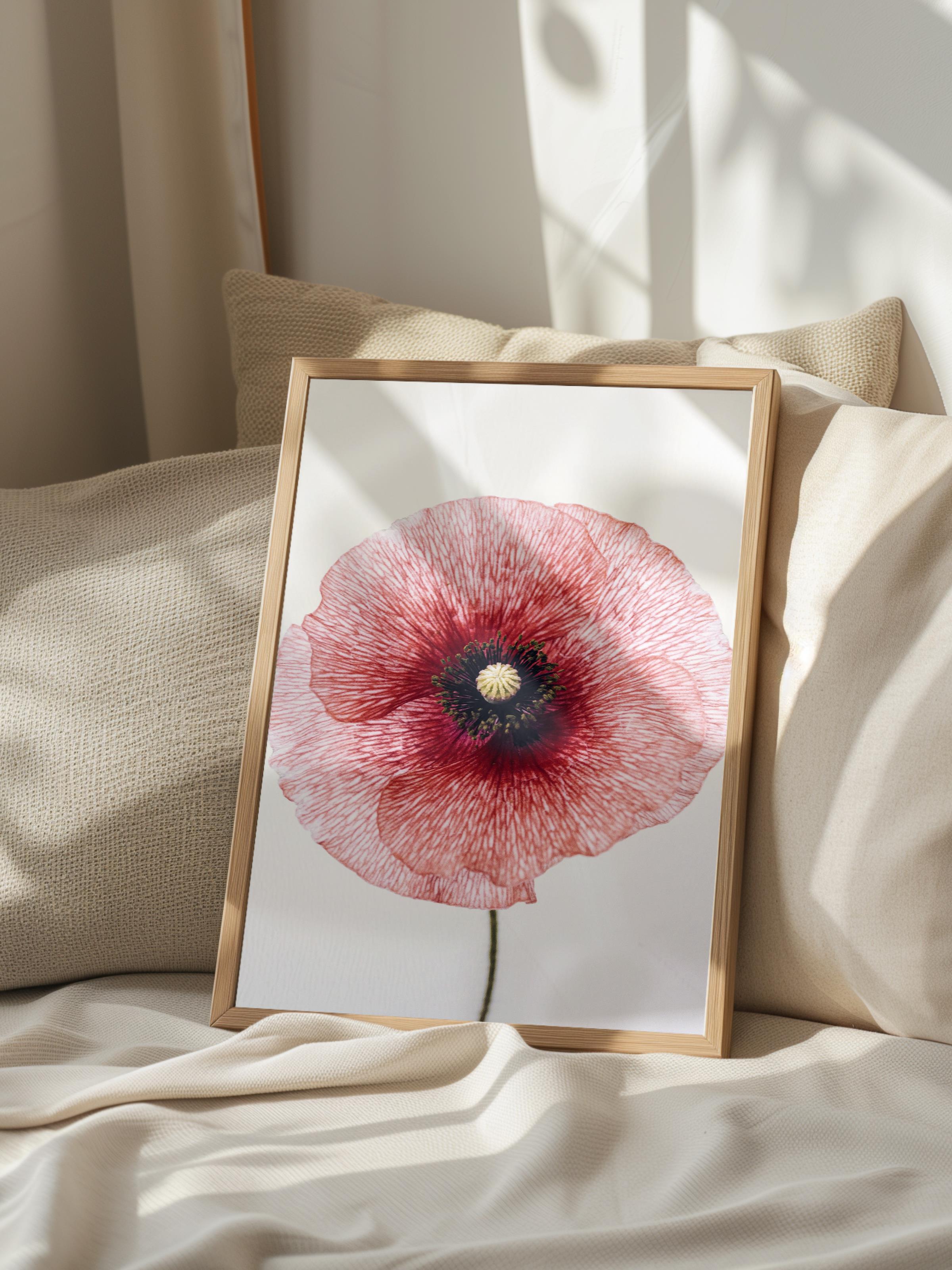 Rustic Çerçevesiz Poster, İskandinav Kırmızı Poster, NO:391 Gelincik Çiçeği Fotoğraf