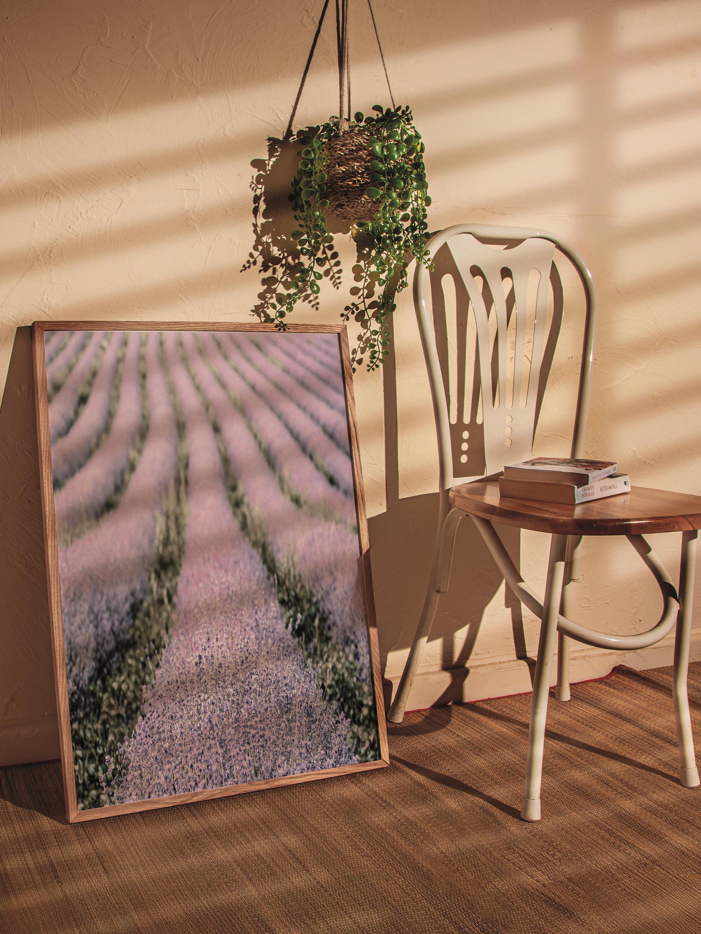 Rustic Çerçevesiz Poster, İskandinav Mor Poster, NO:243 Lavanta Tarlası Fotoğraf, Dikey