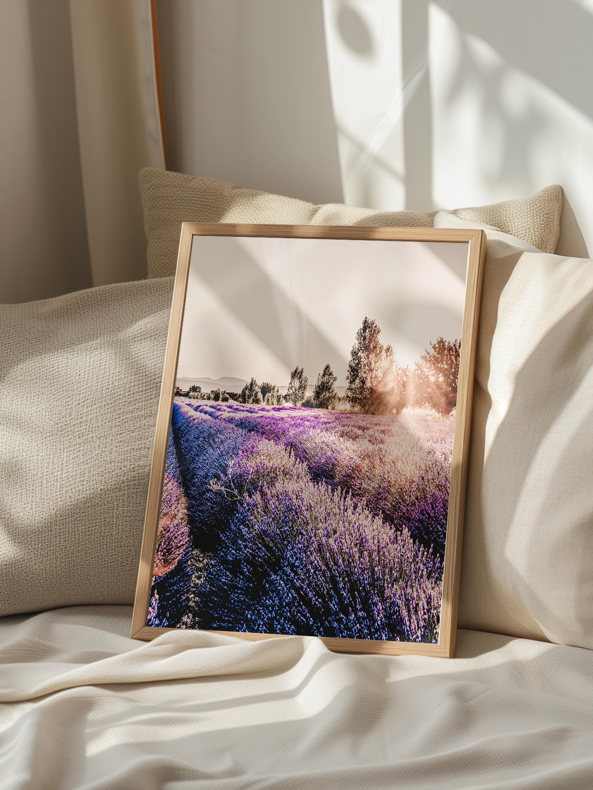Rustic Çerçevesiz Poster, İskandinav Mor Poster, NO:310 Lavanta Tarlası Fotoğraf, Dikey