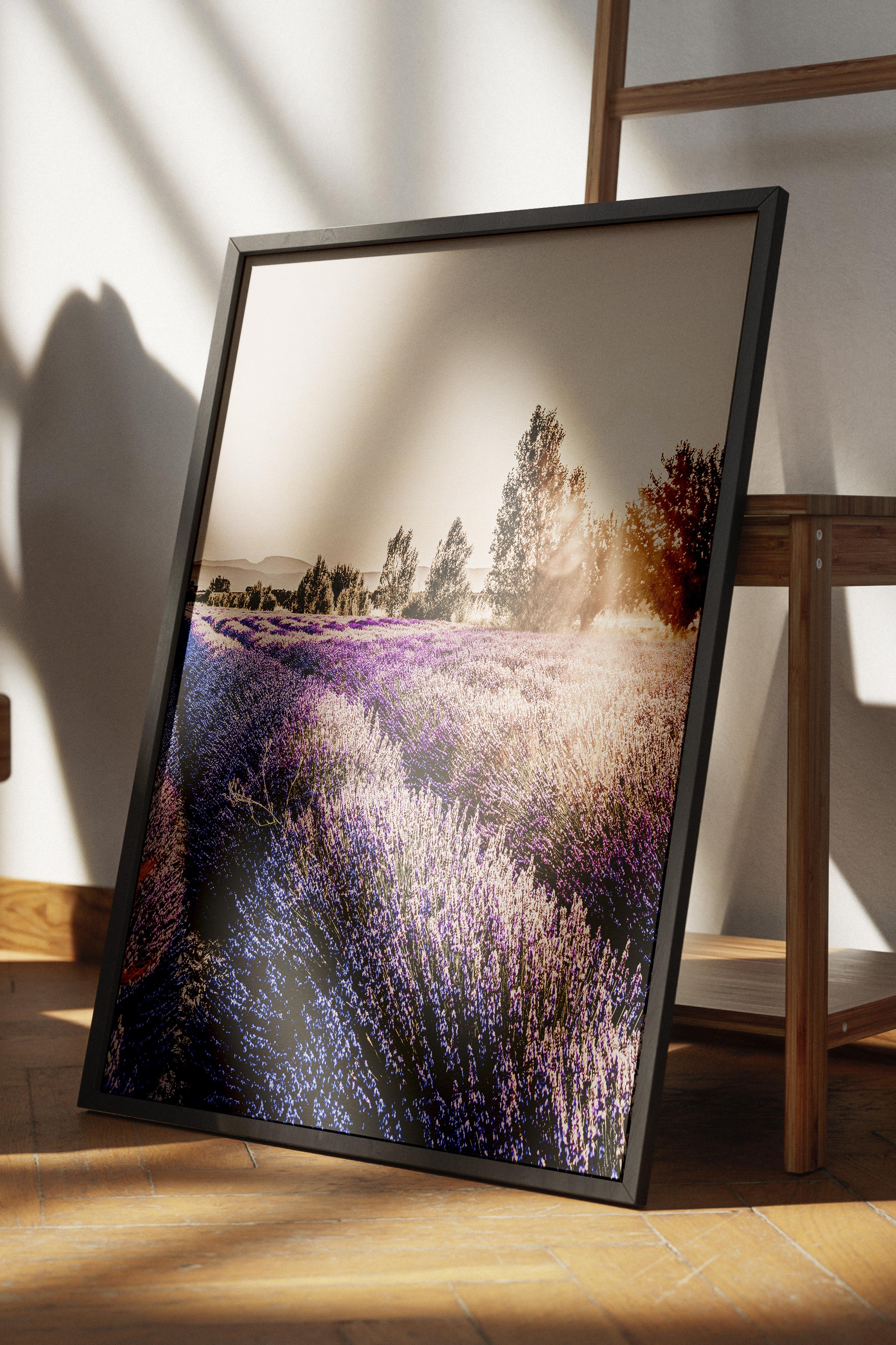 Rustic Çerçevesiz Poster, İskandinav Mor Poster, NO:310 Lavanta Tarlası Fotoğraf, Dikey