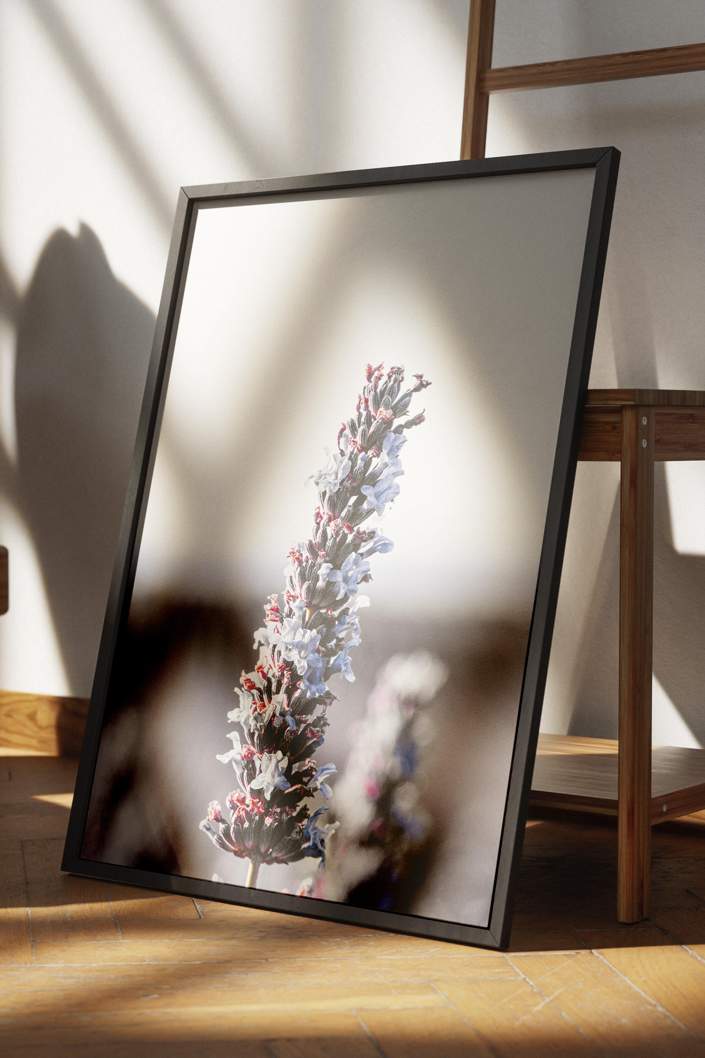 Rustic Çerçevesiz Poster, İskandinav Mor Poster, NO:314 Lavanta Fotoğraf, Dikey