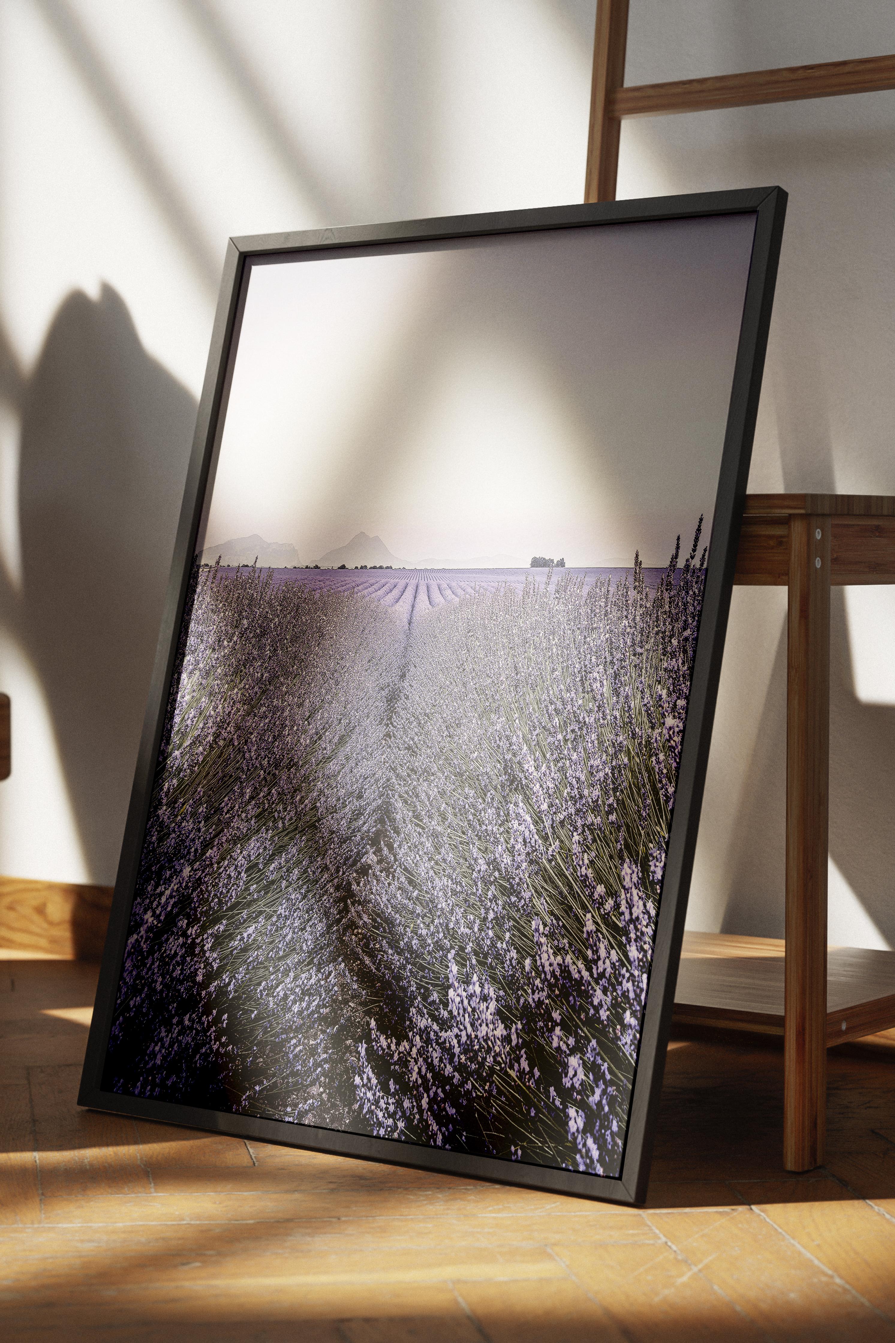 Rustic Çerçevesiz Poster, İskandinav Mor Poster, NO:321 Lavanta Tarlası Fotoğraf, Dikey