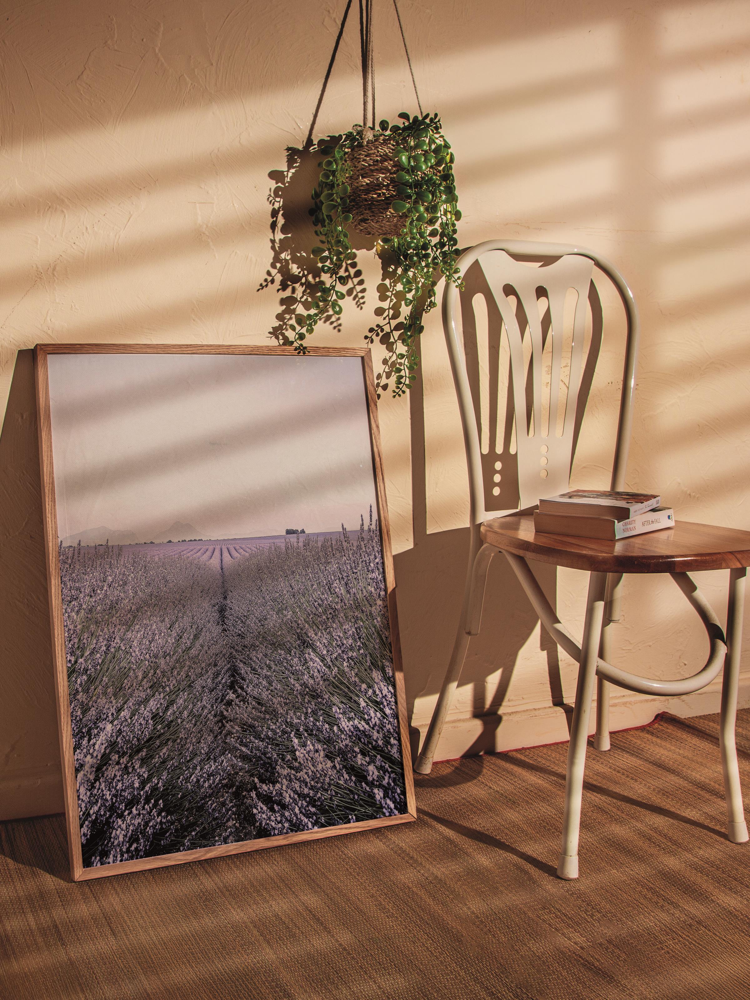 Rustic Çerçevesiz Poster, İskandinav Mor Poster, NO:321 Lavanta Tarlası Fotoğraf, Dikey