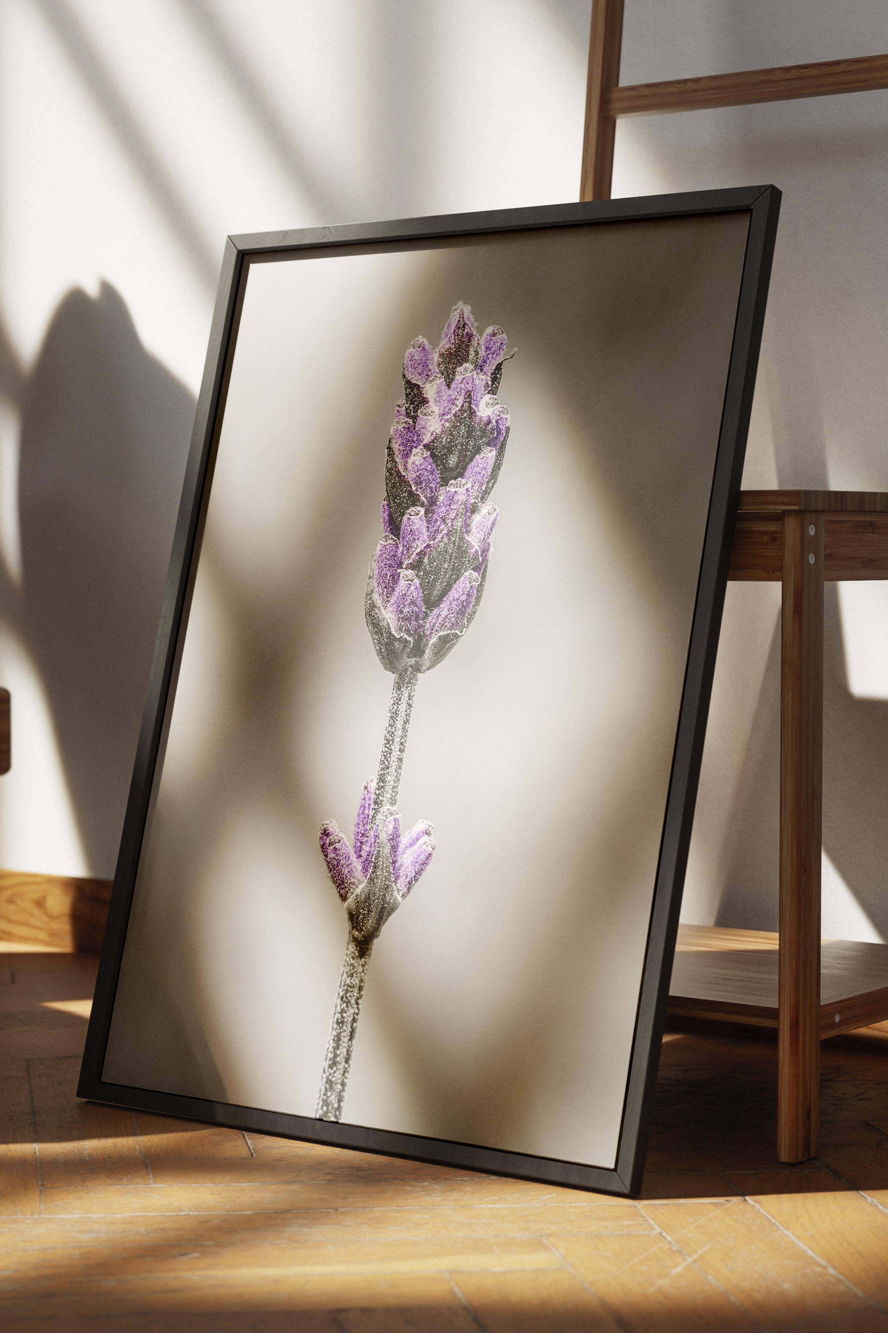 Rustic Çerçevesiz Poster, İskandinav Mor Poster, NO:331 Lavanta Fotoğraf, Dikey