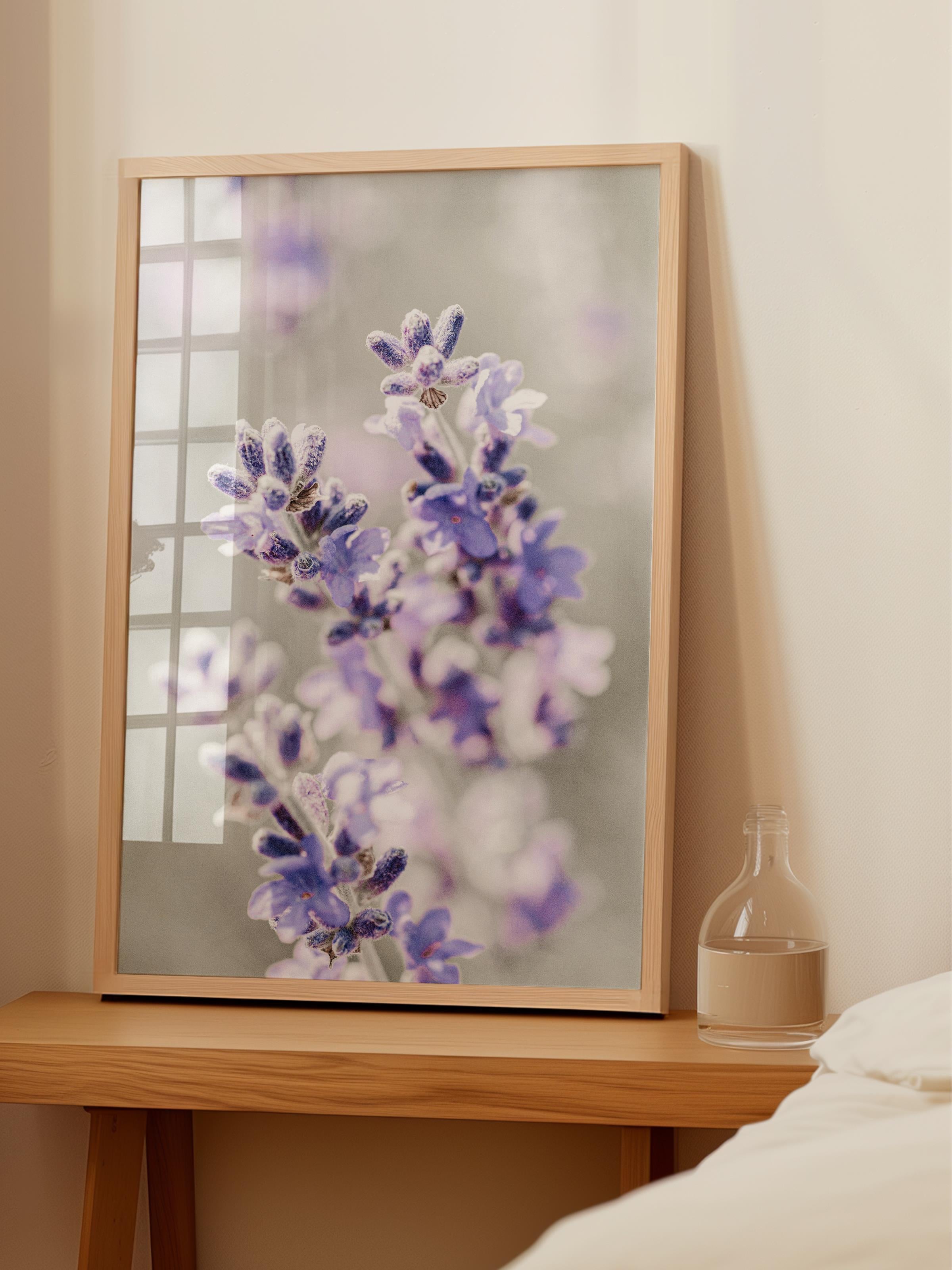 Rustic Çerçevesiz Poster, İskandinav Mor Poster, NO:341 Lavanta Fotoğraf, Dikey