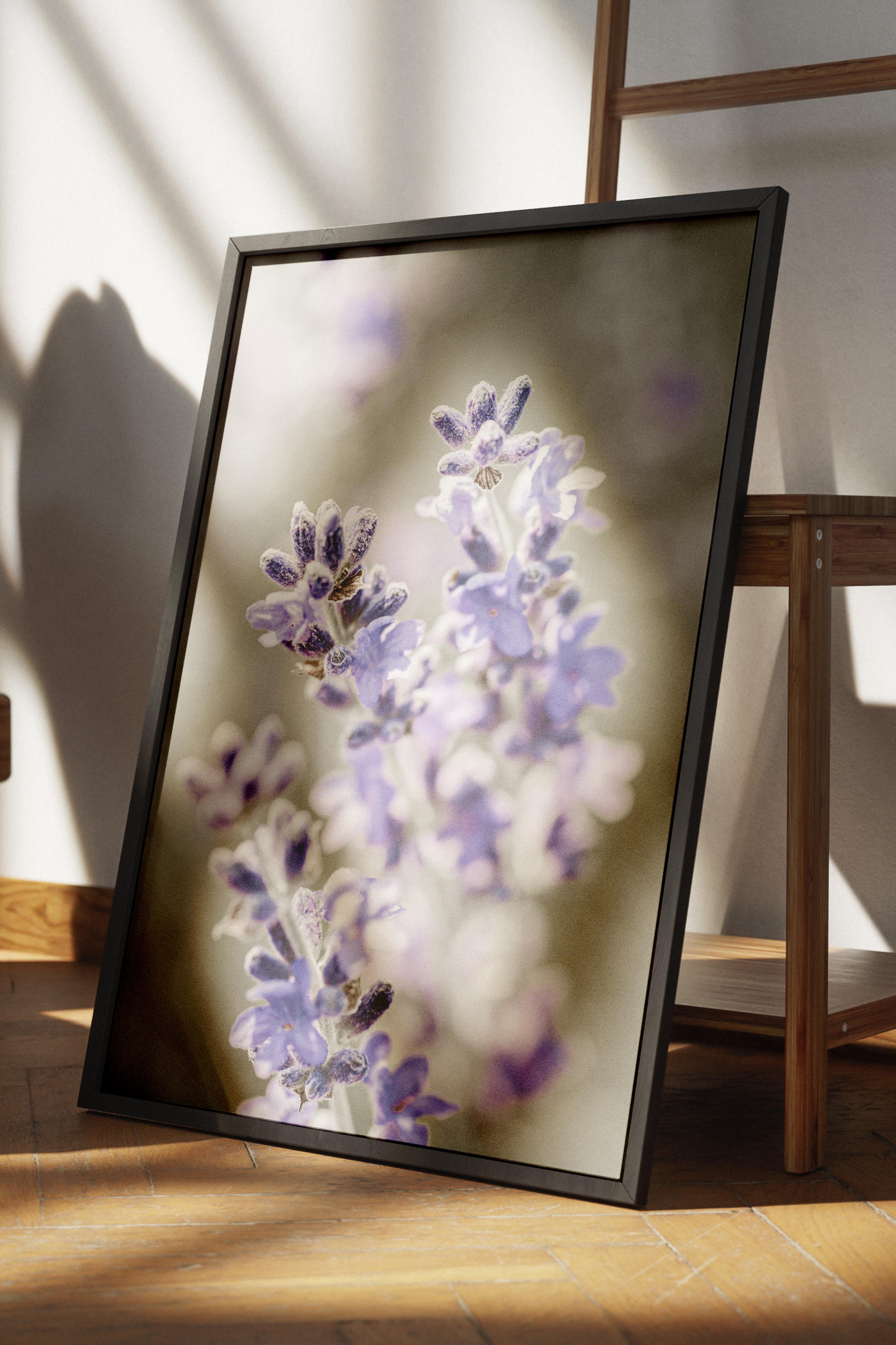 Rustic Çerçevesiz Poster, İskandinav Mor Poster, NO:341 Lavanta Fotoğraf, Dikey