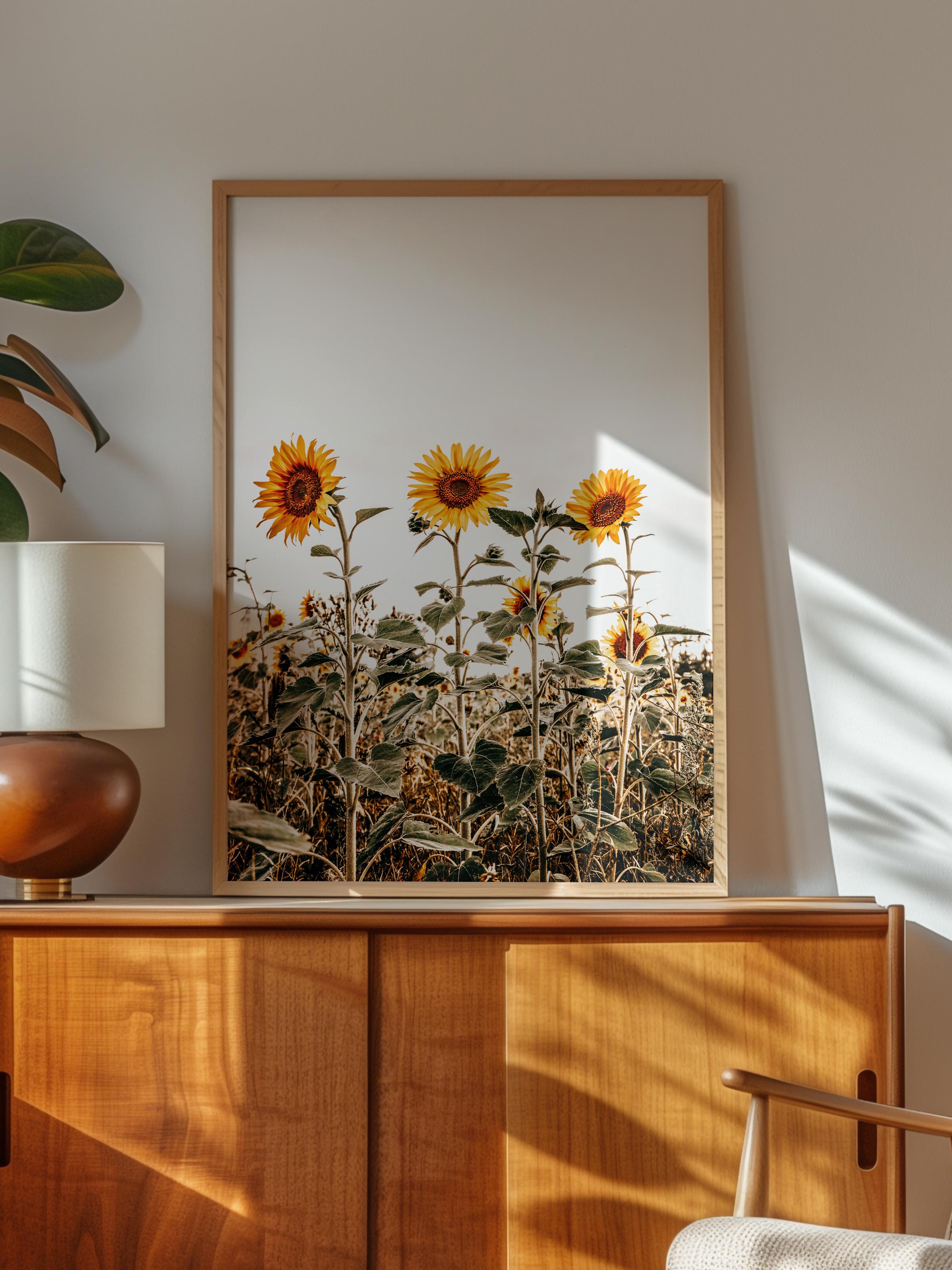 Rustic Çerçevesiz Poster, İskandinav Sarı Poster, NO:429 Ayçiçeği Fotoğraf