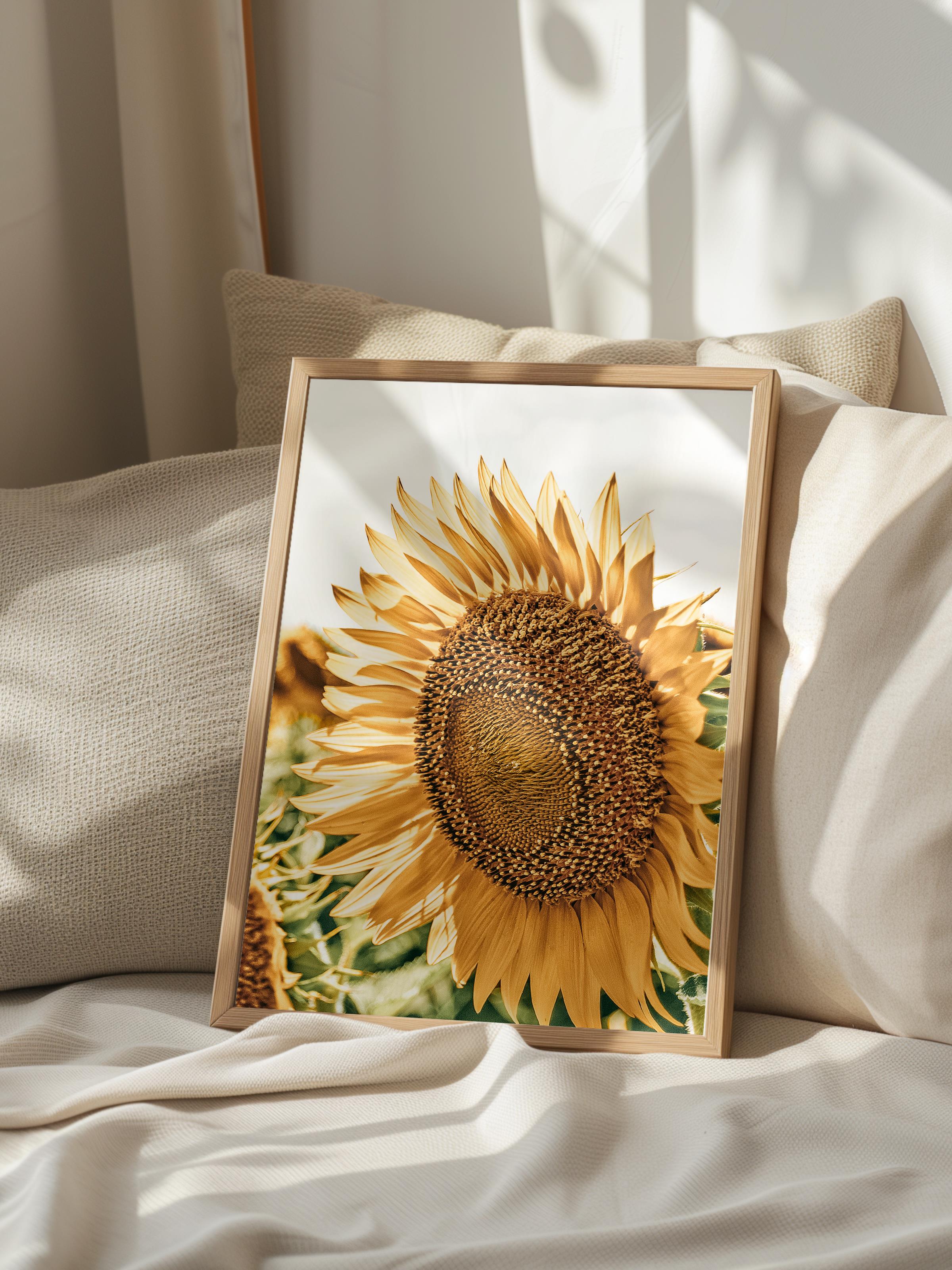Rustic Çerçevesiz Poster, İskandinav Sarı Poster, NO:451 Ayçiçeği Fotoğraf