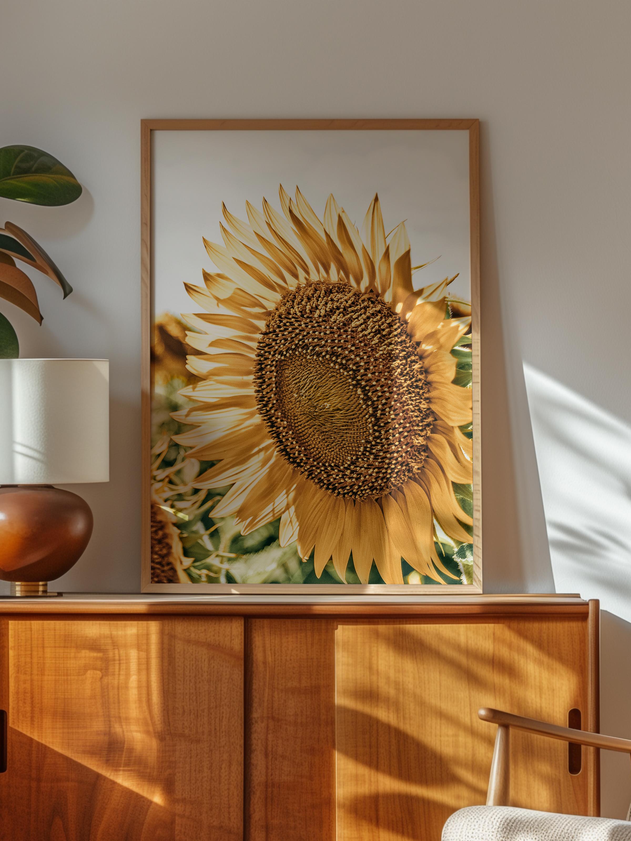 Rustic Çerçevesiz Poster, İskandinav Sarı Poster, NO:451 Ayçiçeği Fotoğraf
