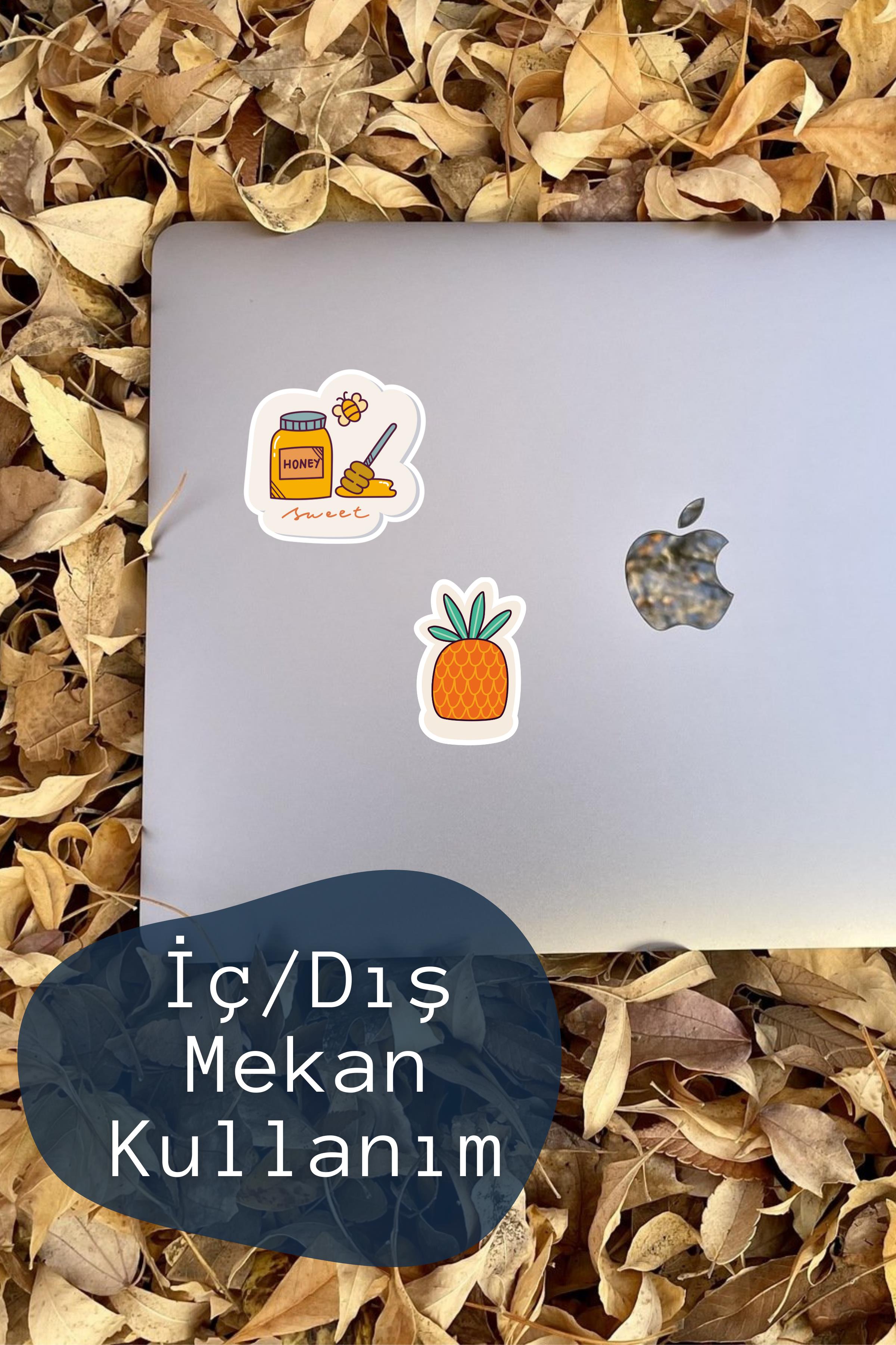 Sağlık & Spor Temalı Sticker ve Etiket Seti - Orta Boy - Su Geçirmez, Kalın Yapışkanlı Sticker Seti