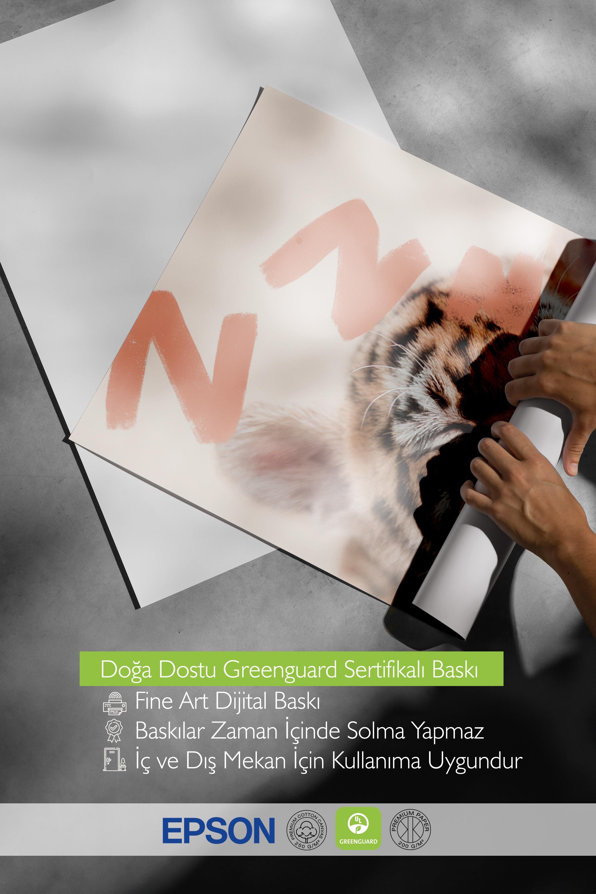 Sleeping Baby Tiger Poster, Çerçevesiz Duvar Posteri, Dikey Duvar Tablosu Comfort Serisi NO:108441