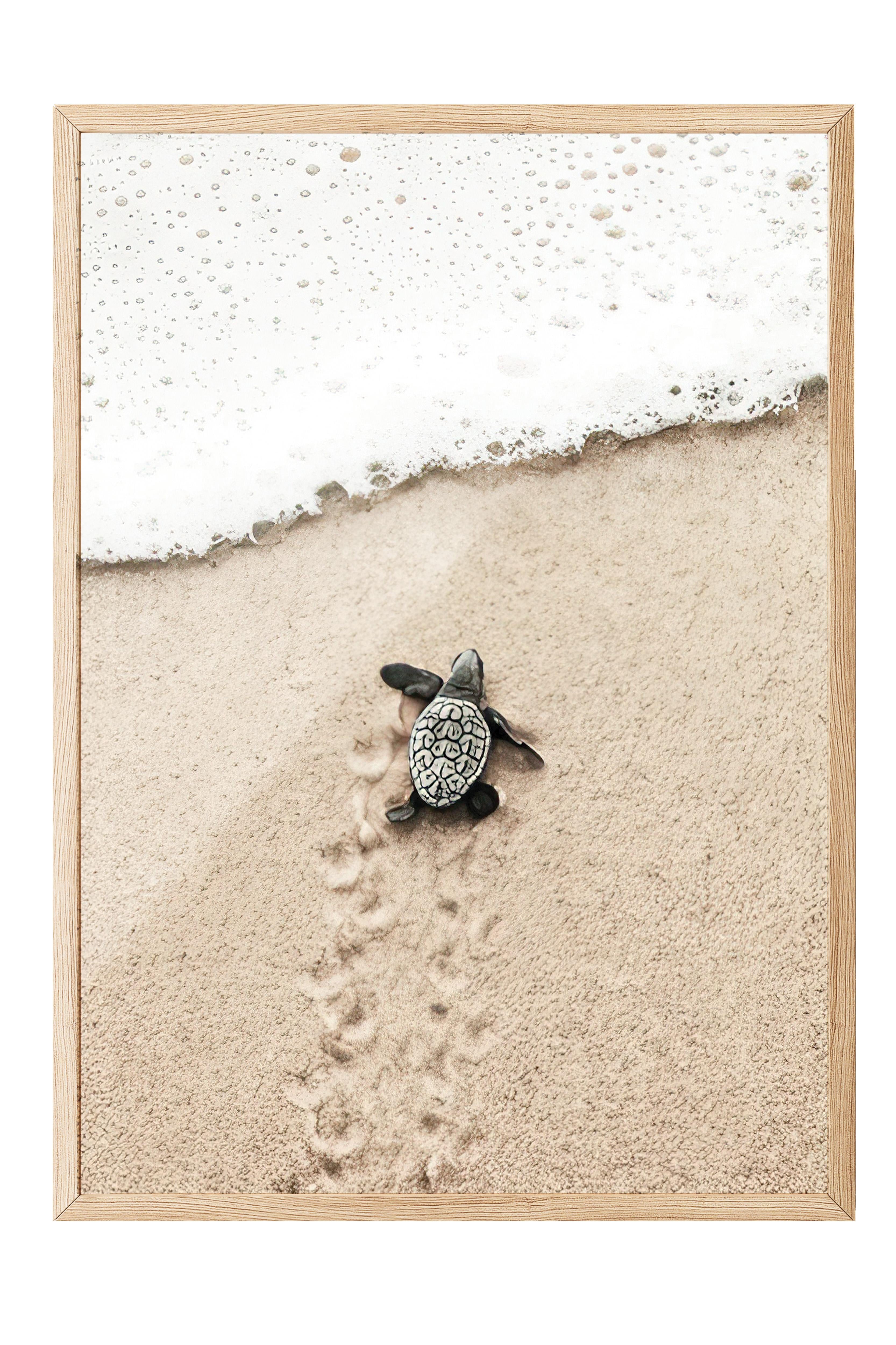Small Beach Turtle Çerçeveli Tablo, Ahşap Çerçeve ve Poster, Duvar Tablosu Comfort Serisi NO:108420