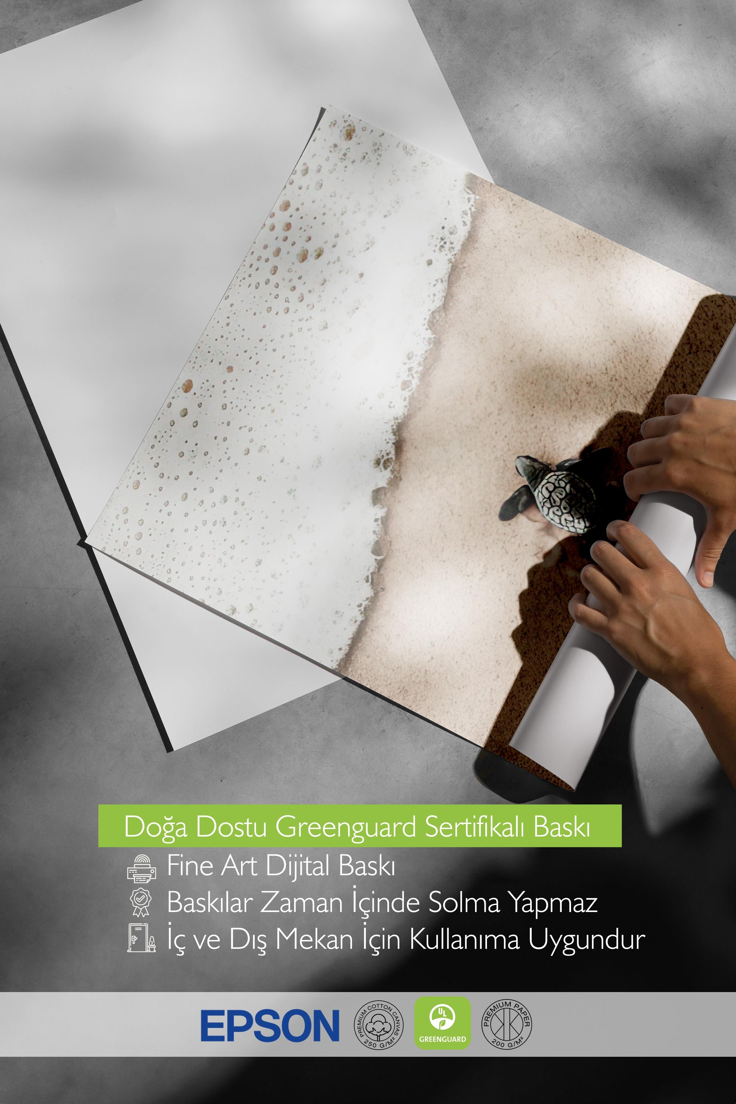 Small Beach Turtle Poster, Çerçevesiz Duvar Posteri, Dikey Duvar Tablosu Comfort Serisi NO:108420