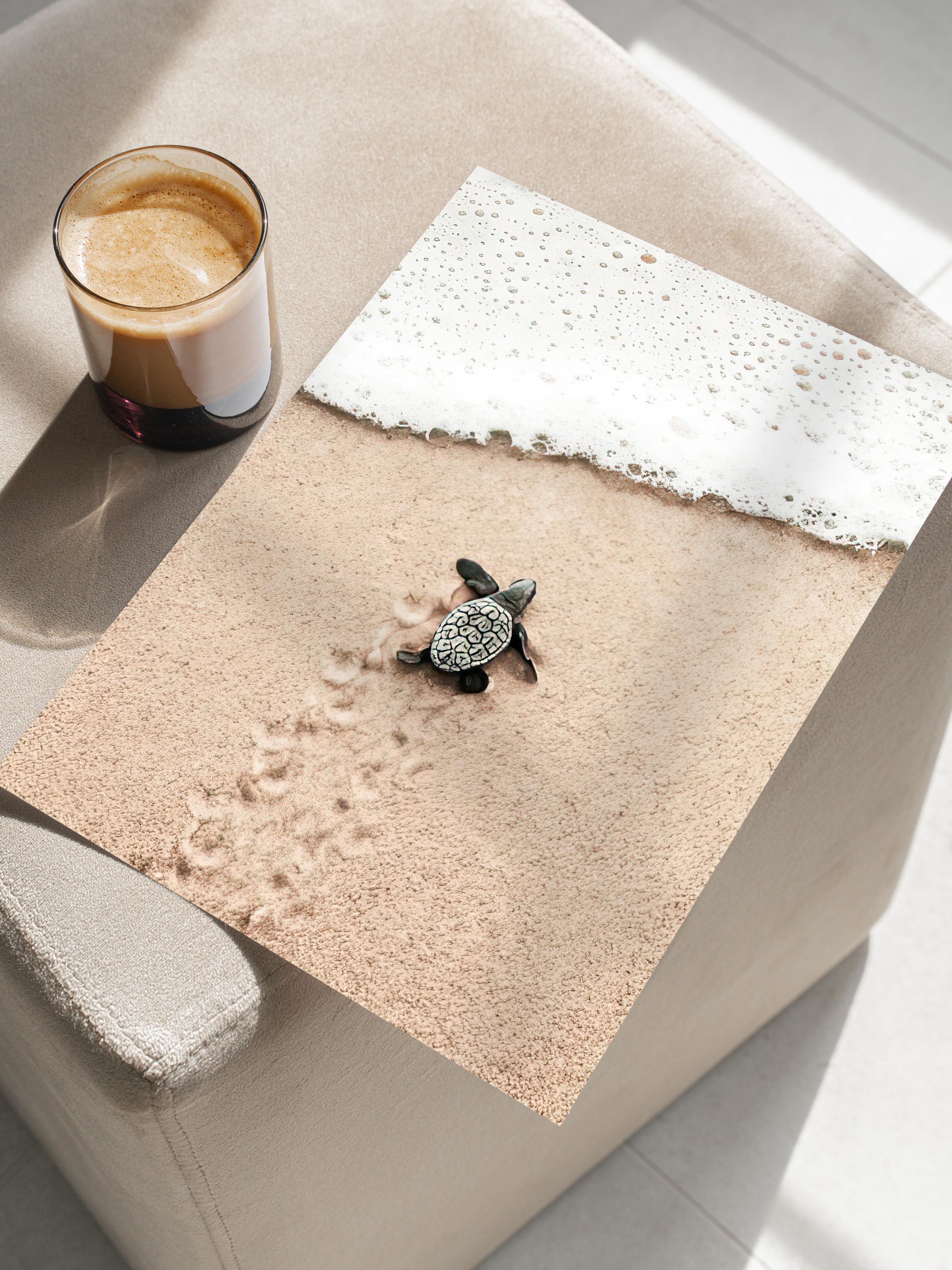 Small Beach Turtle Poster, Çerçevesiz Duvar Posteri, Dikey Duvar Tablosu Comfort Serisi NO:108420